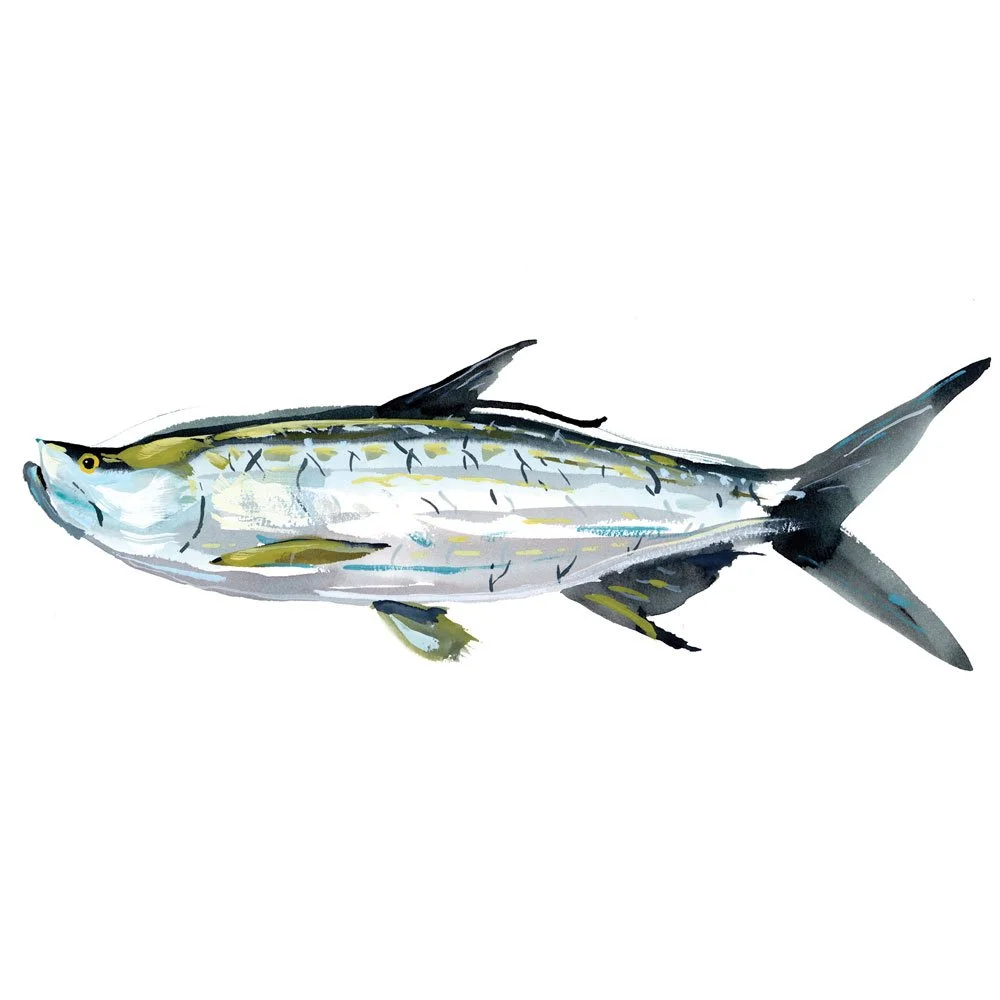 tarpon.jpg