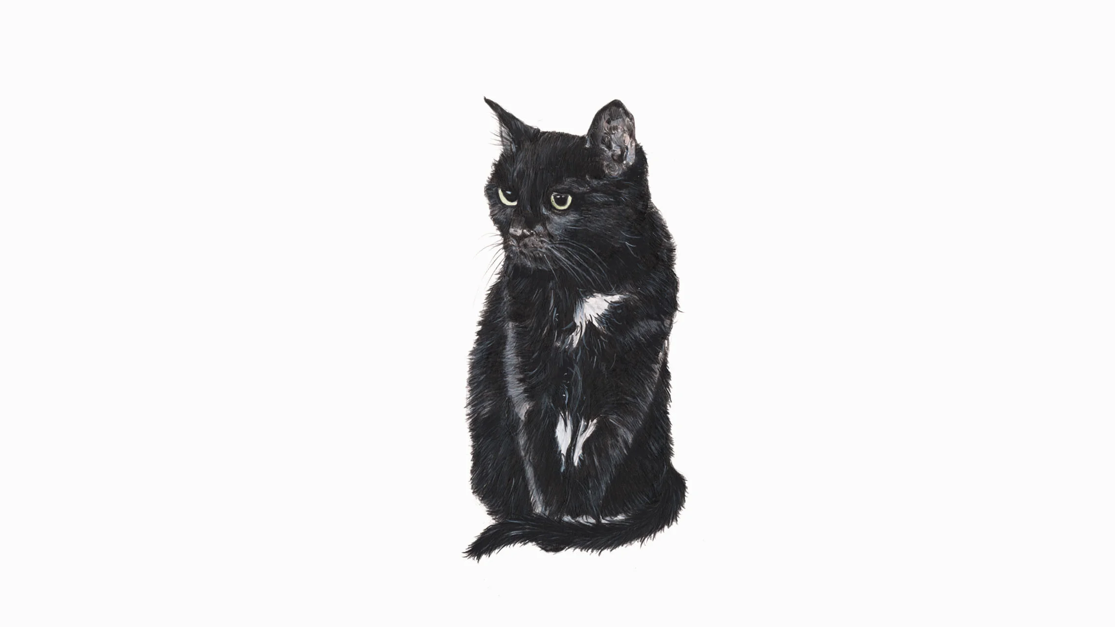 Poppy (Bob), the Black Cat