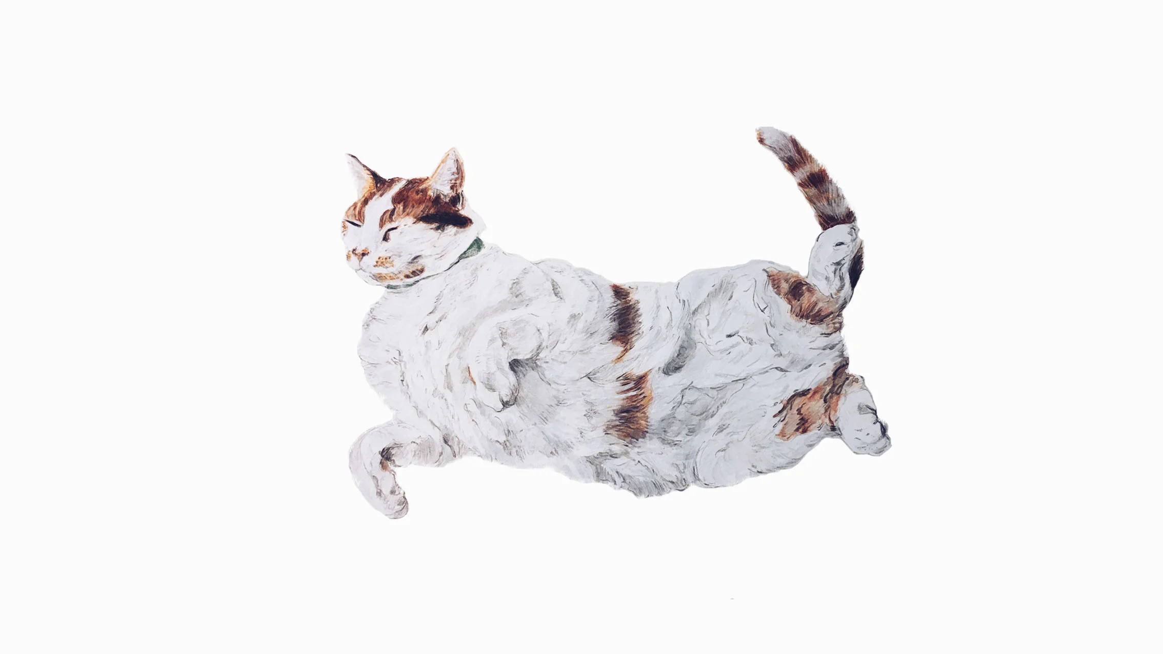 Daniel, the Cat