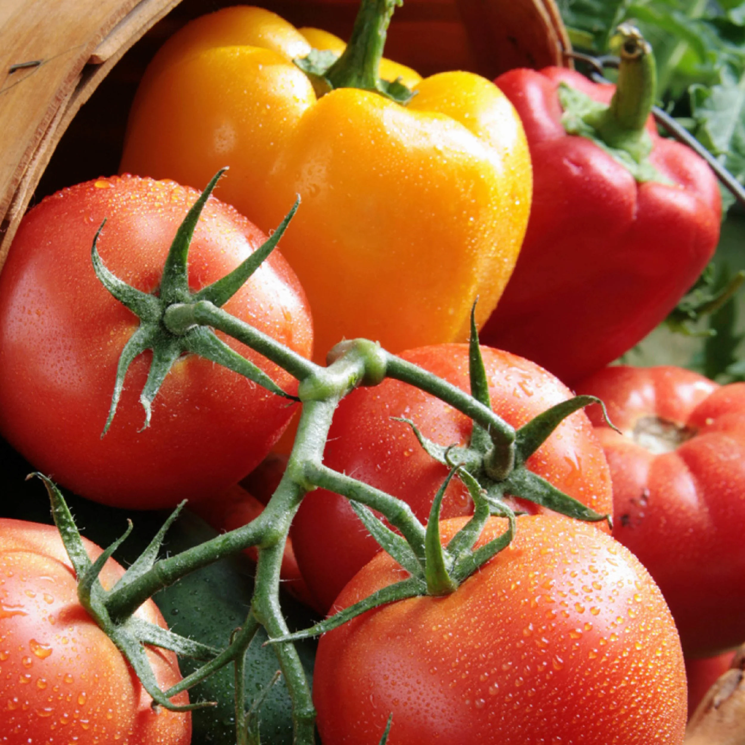 Linda Cowden, Produce Manager Produce@TheMerc.Coop
