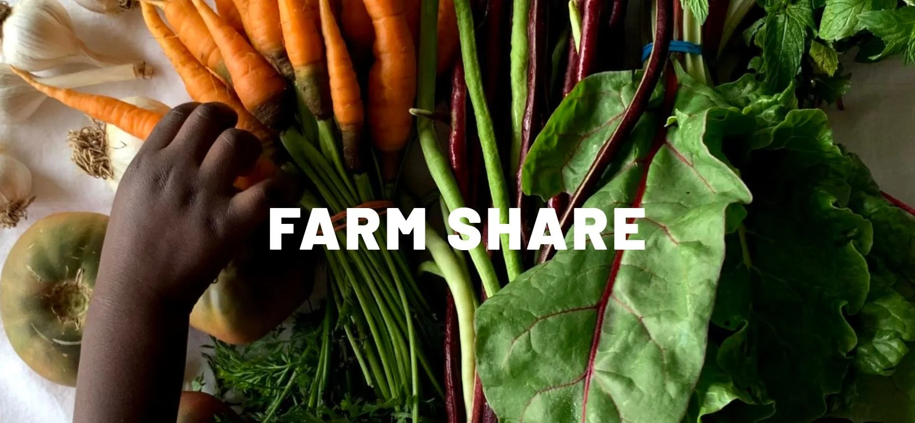 New Roots for Refugees Farm Share Pick Up