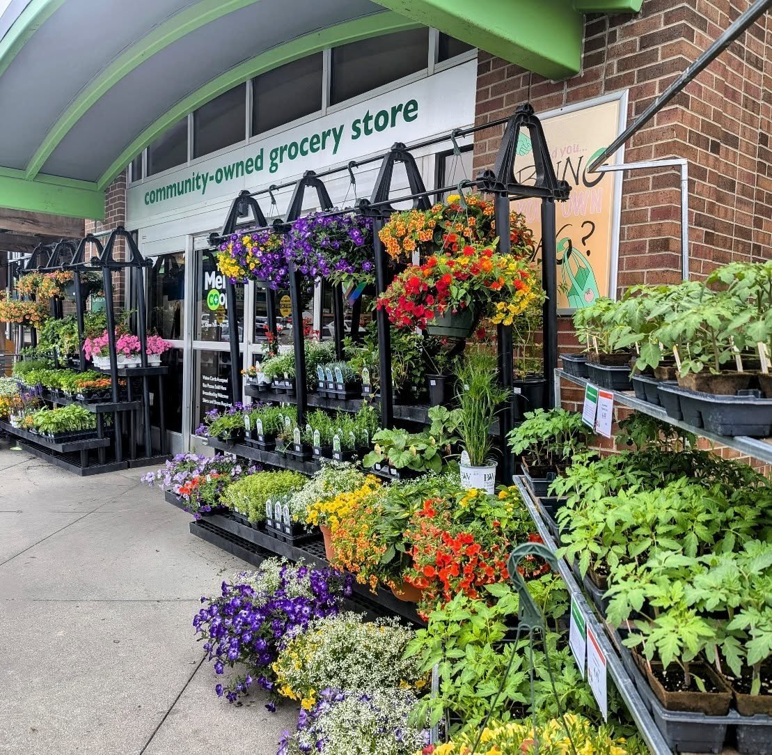 Happy May! 💐🌱☔ Get your garden going with herb, flowers and veggie plants from the co-op - now including #locallygrown certified organic starts from @mellowfieldsfarm