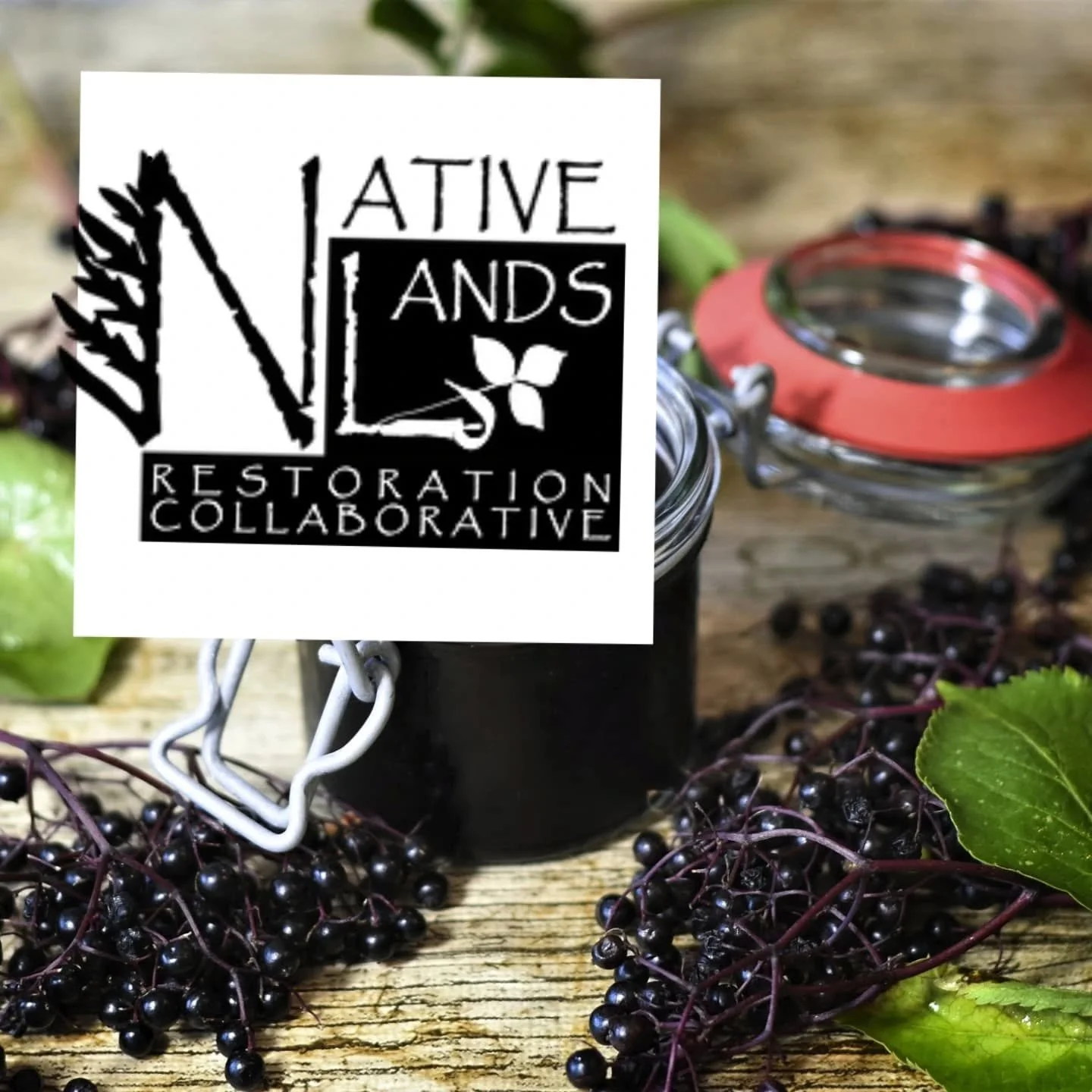 Mark your calendars! Explore Kansas native plants in this seasonal series with local ecologist and educator Courtney Masterson, founder of Native Lands Restoration Collaborative. Each class includes a guided lecture, samples, and recipes featuring in