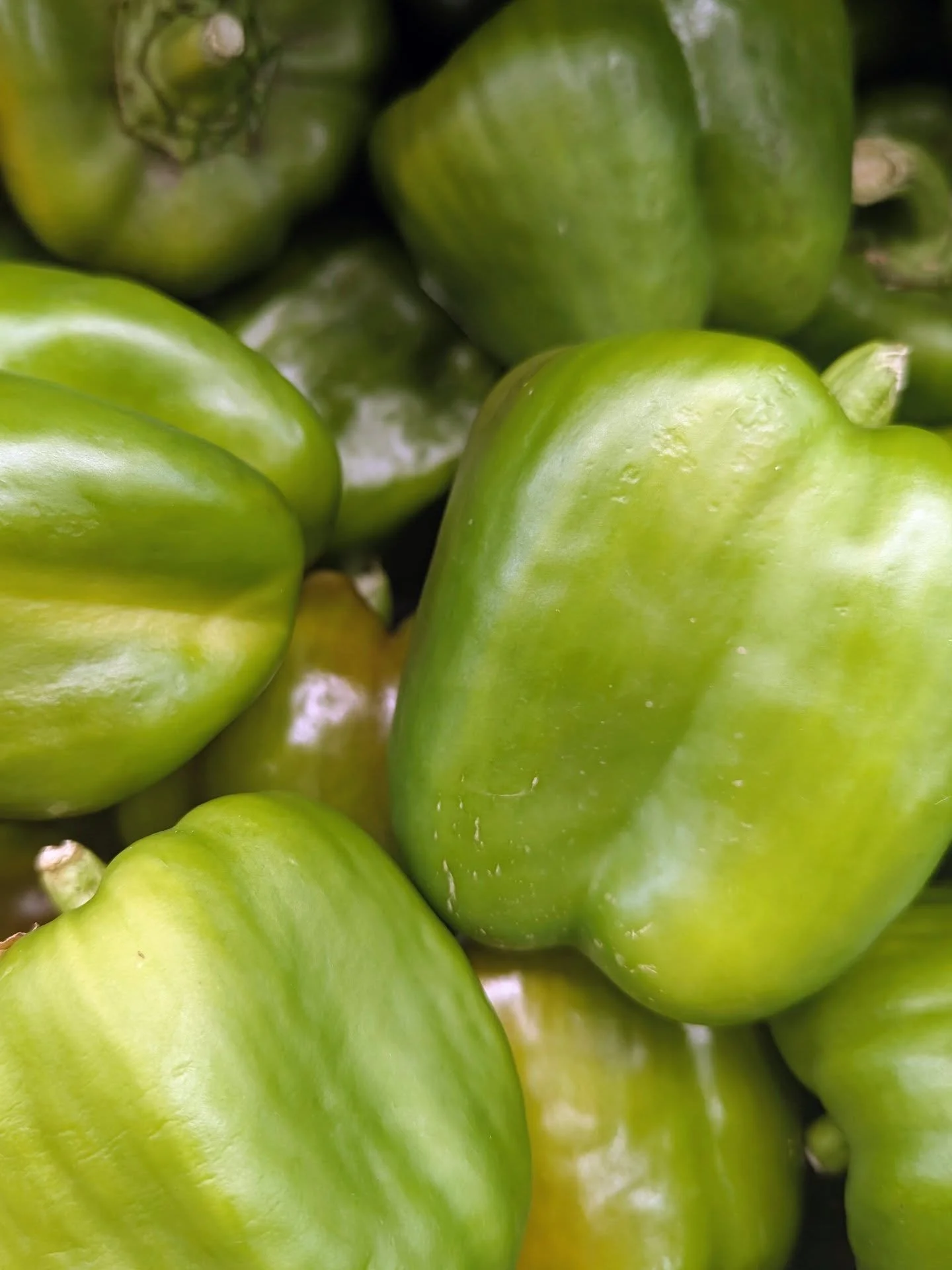 Peak season, straight from #localproducers to the shelves. In Lawrence this week:
- Green Peppers
- Cantaloupe (delivered today!)
- Sweet Corn
- Herbs
- Peaches
- Kale
- Flowers
- Eggplant
- Mushrooms
- the first apples of the season!
And more! #sho