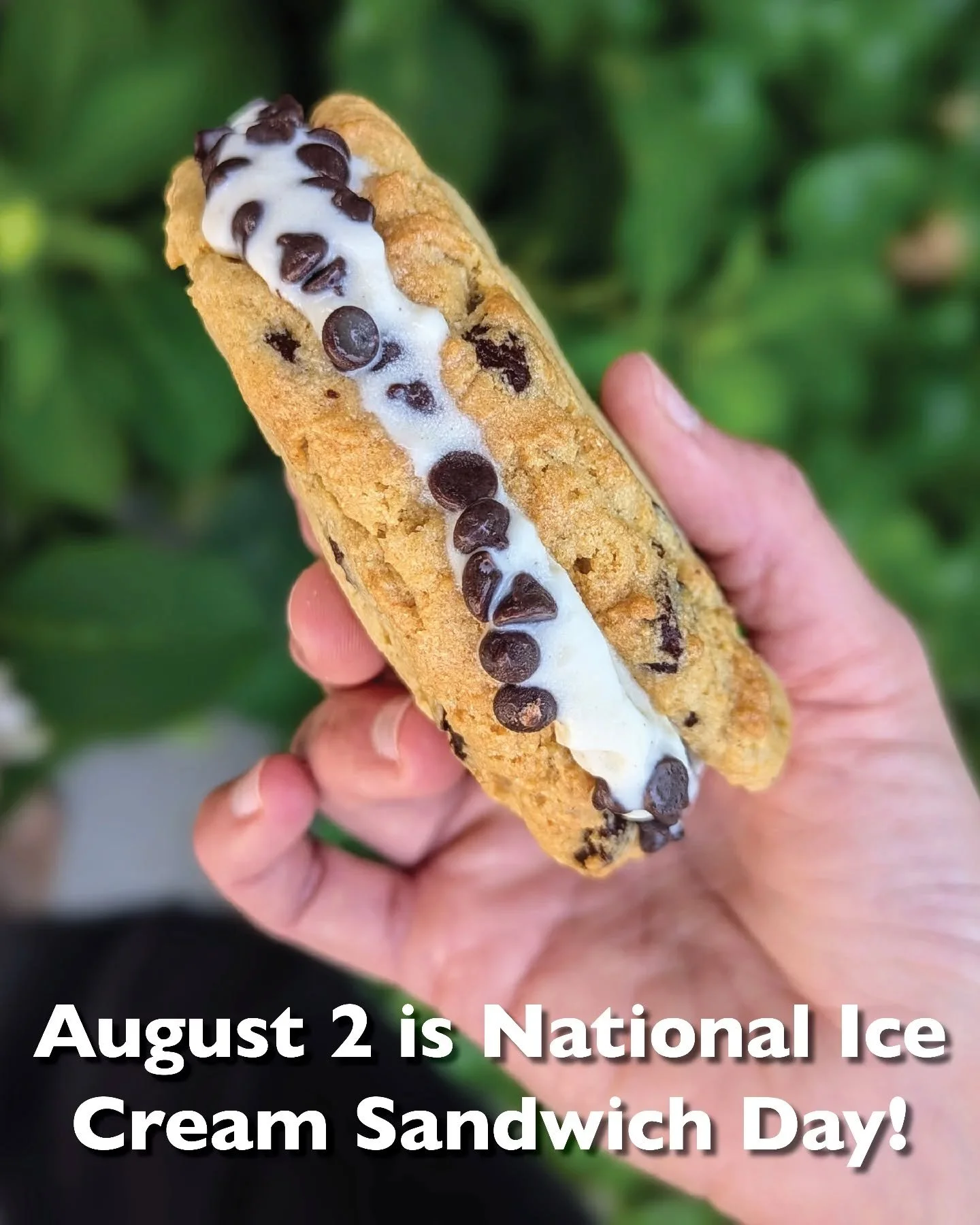 Observe the holiday with these #mercmade ice cream sandwiches! 🎉🍪🍦
#nationalicecreamsandwichday #cooptreats #celebrate