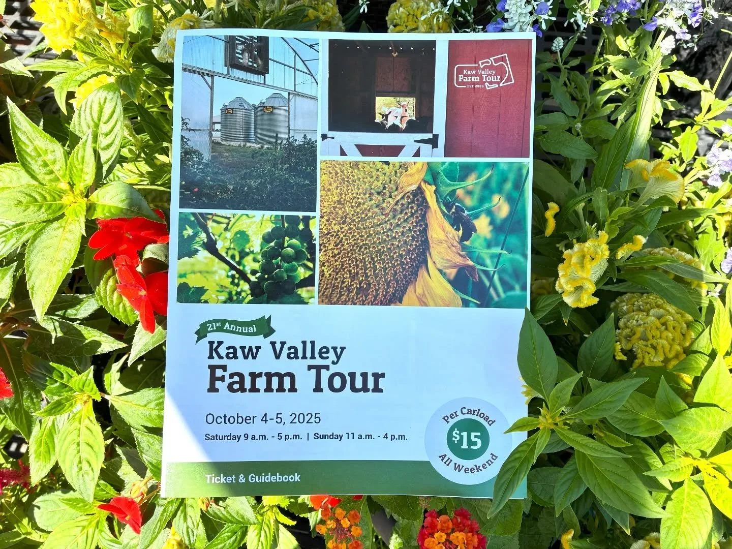 Get your tickets to the 21st Annual Kaw Valley Farm Tour at the co-op! Both days and a carload of guests is only $15, and you can visit as many farms on this self-guided tour as you like! Sales from the tickets and t-shirts go directly to supporting