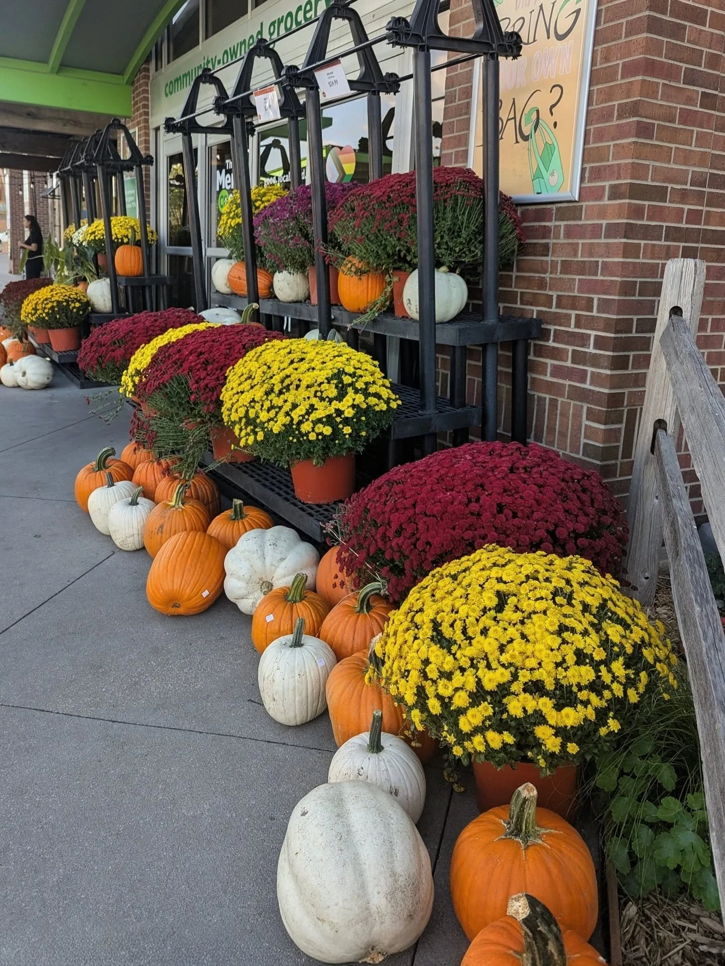 Local pumpkins have arrived at the Lawrence store! 🎃🍂😍