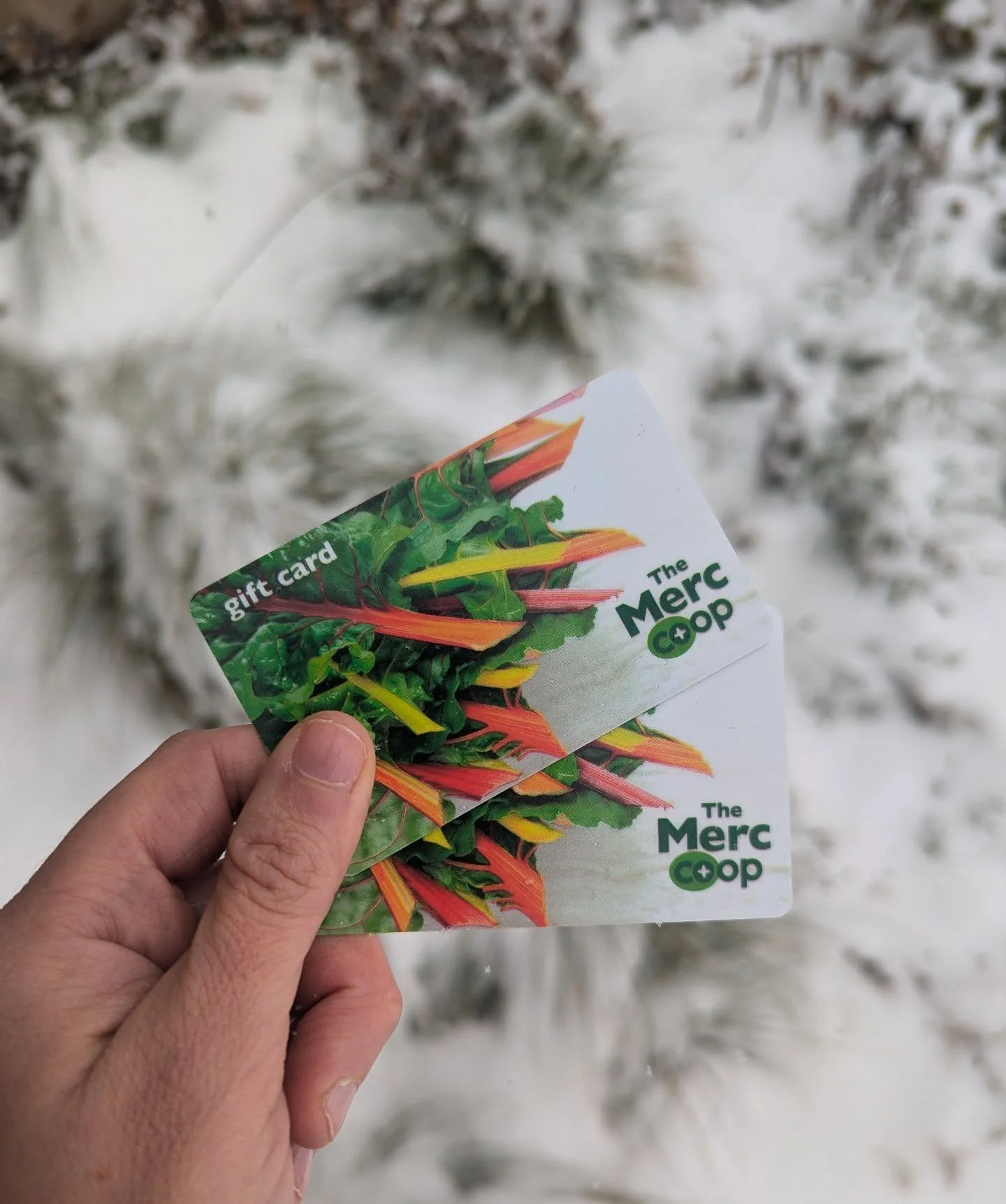 If you're braving the snow, treat yourself! Buy a $100 gift card and get $10 back for you. This deal ends Friday, Dec. 5.

Stay warm out there! 🌨️