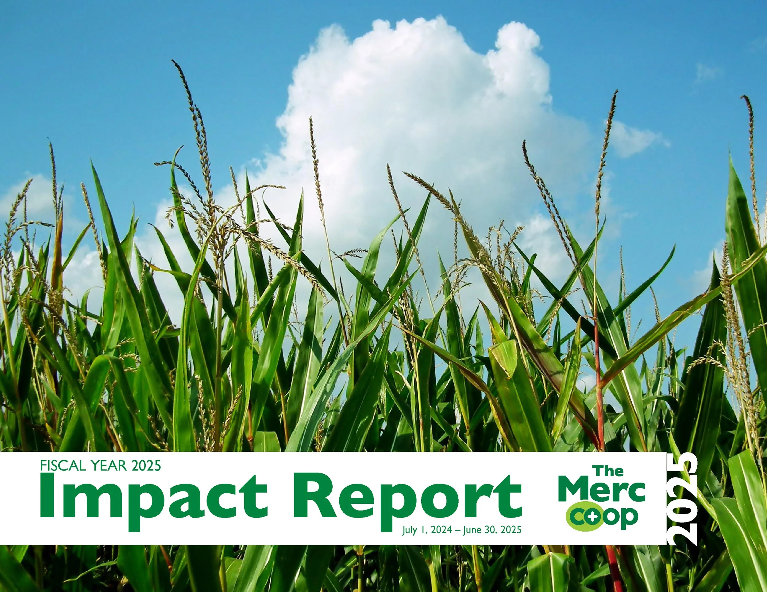 Impact Report FY 2025 single pages.jpg