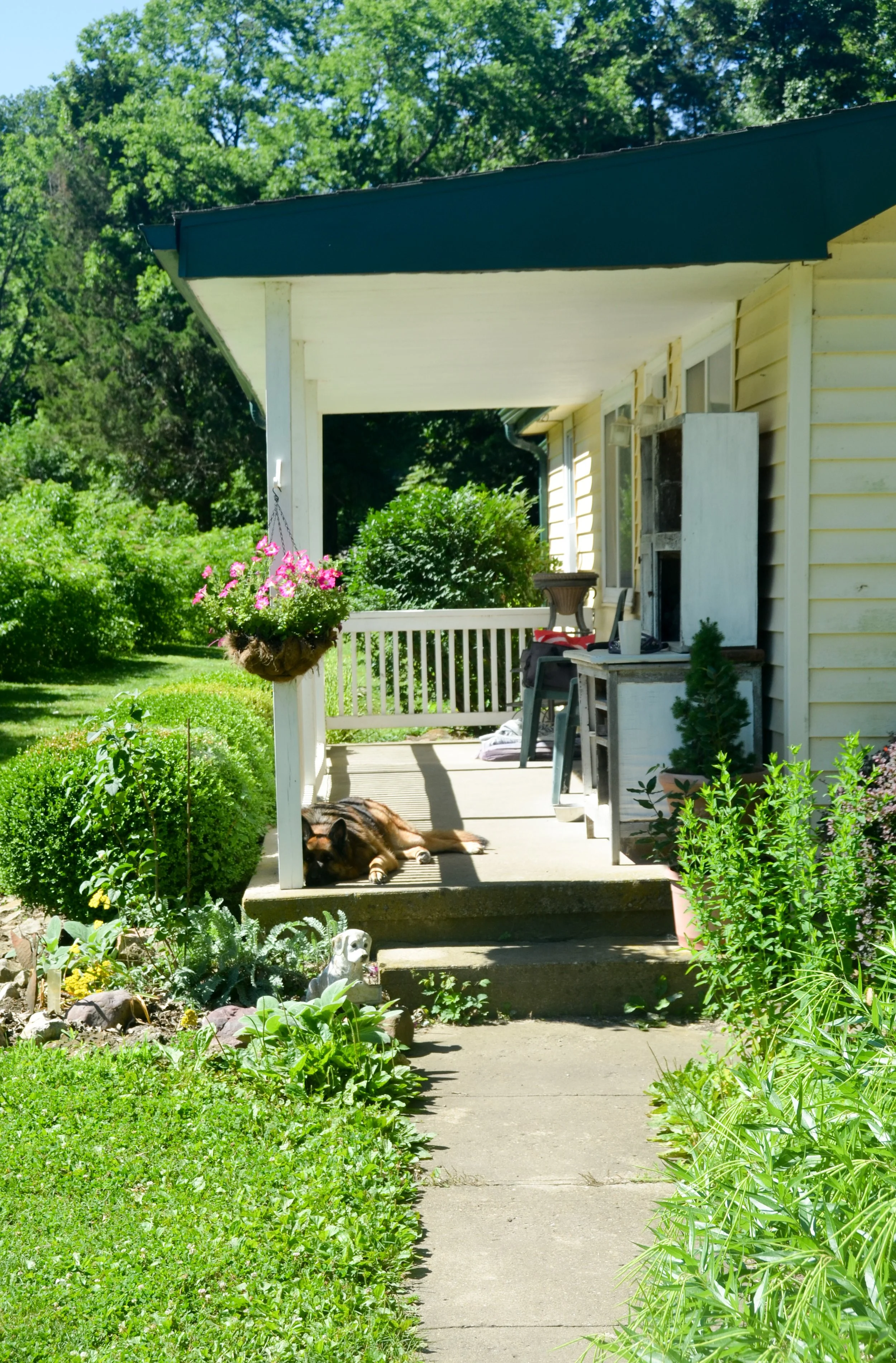 ND7_6133.JPG