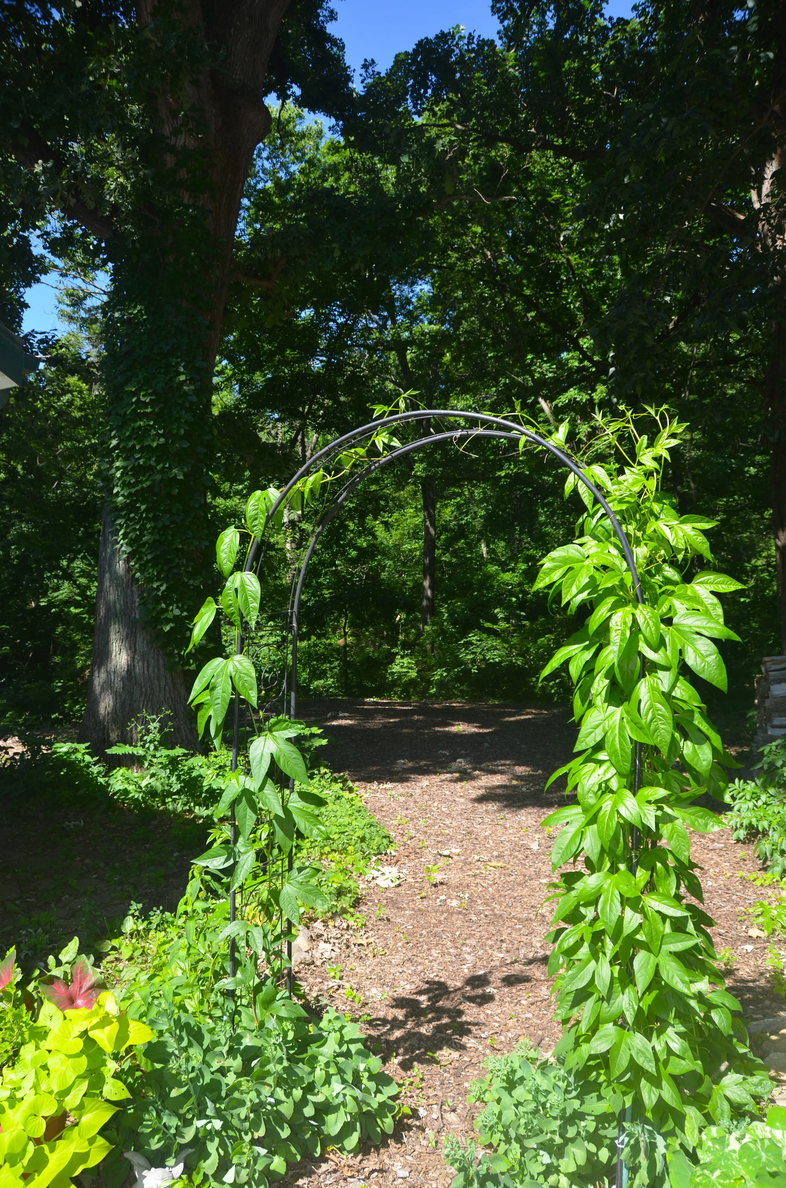 ND7_6139.JPG