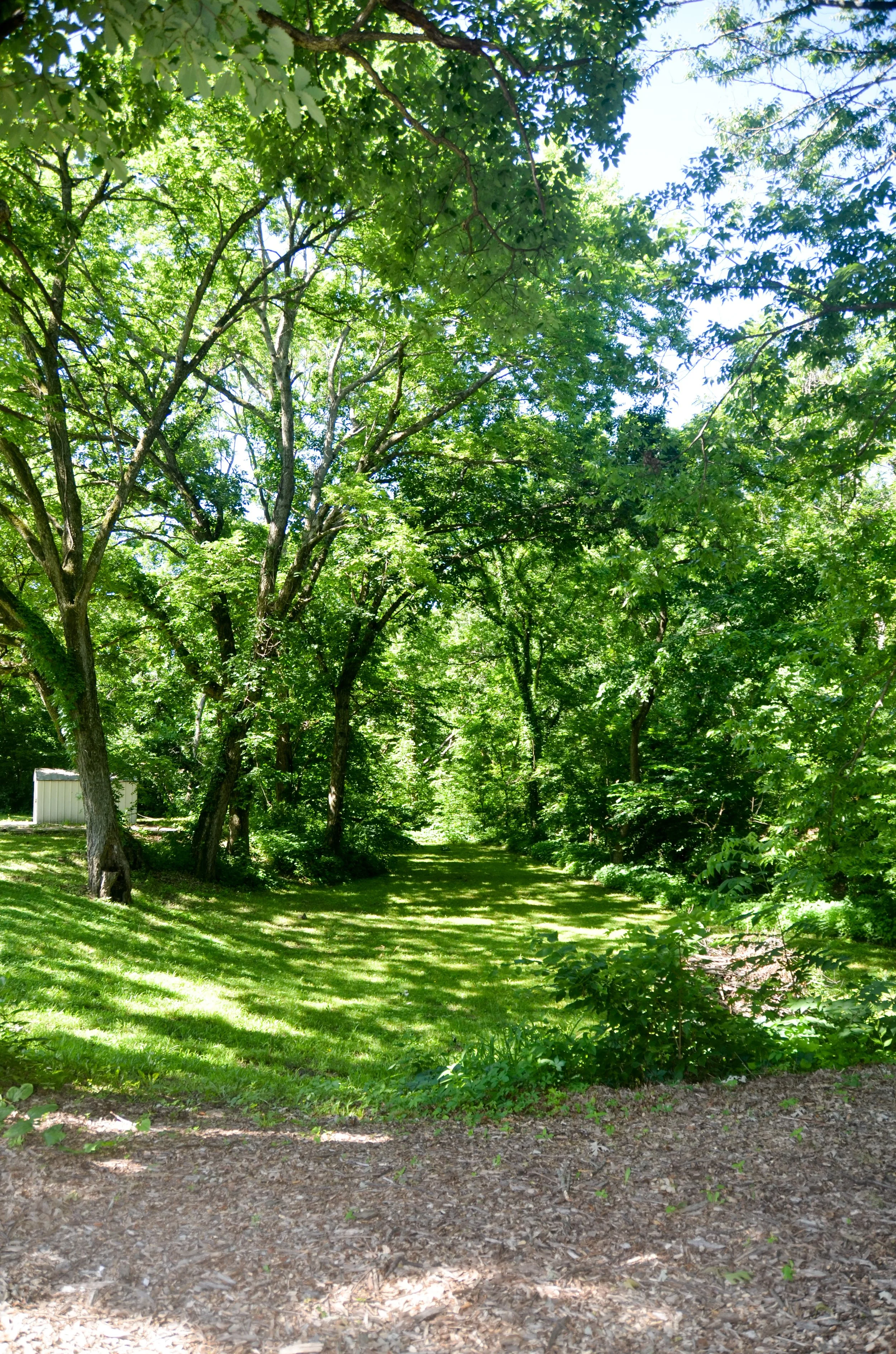 ND7_6140.JPG