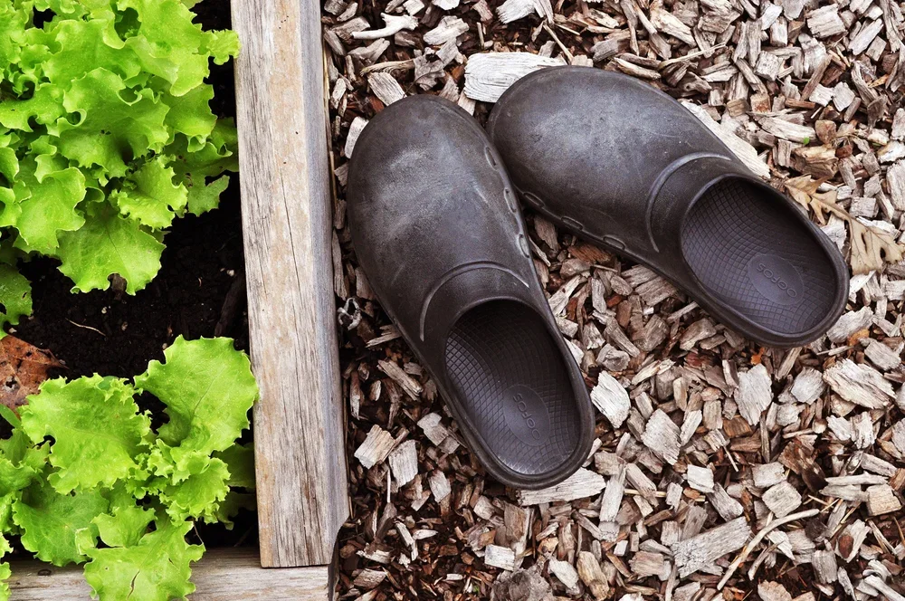 WildIvyHerbFarm-shoes-garden-1.webp