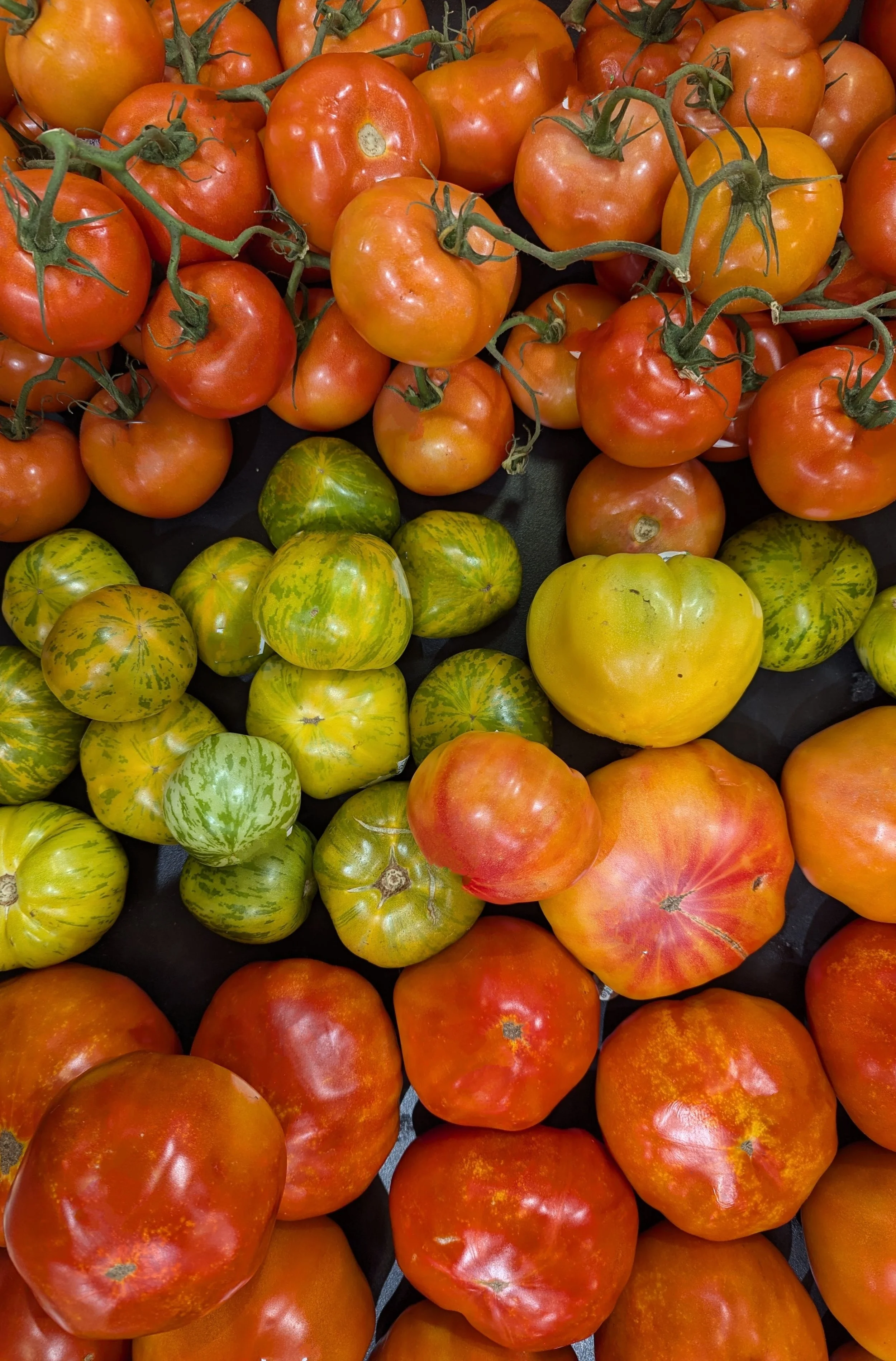 Tomatoes