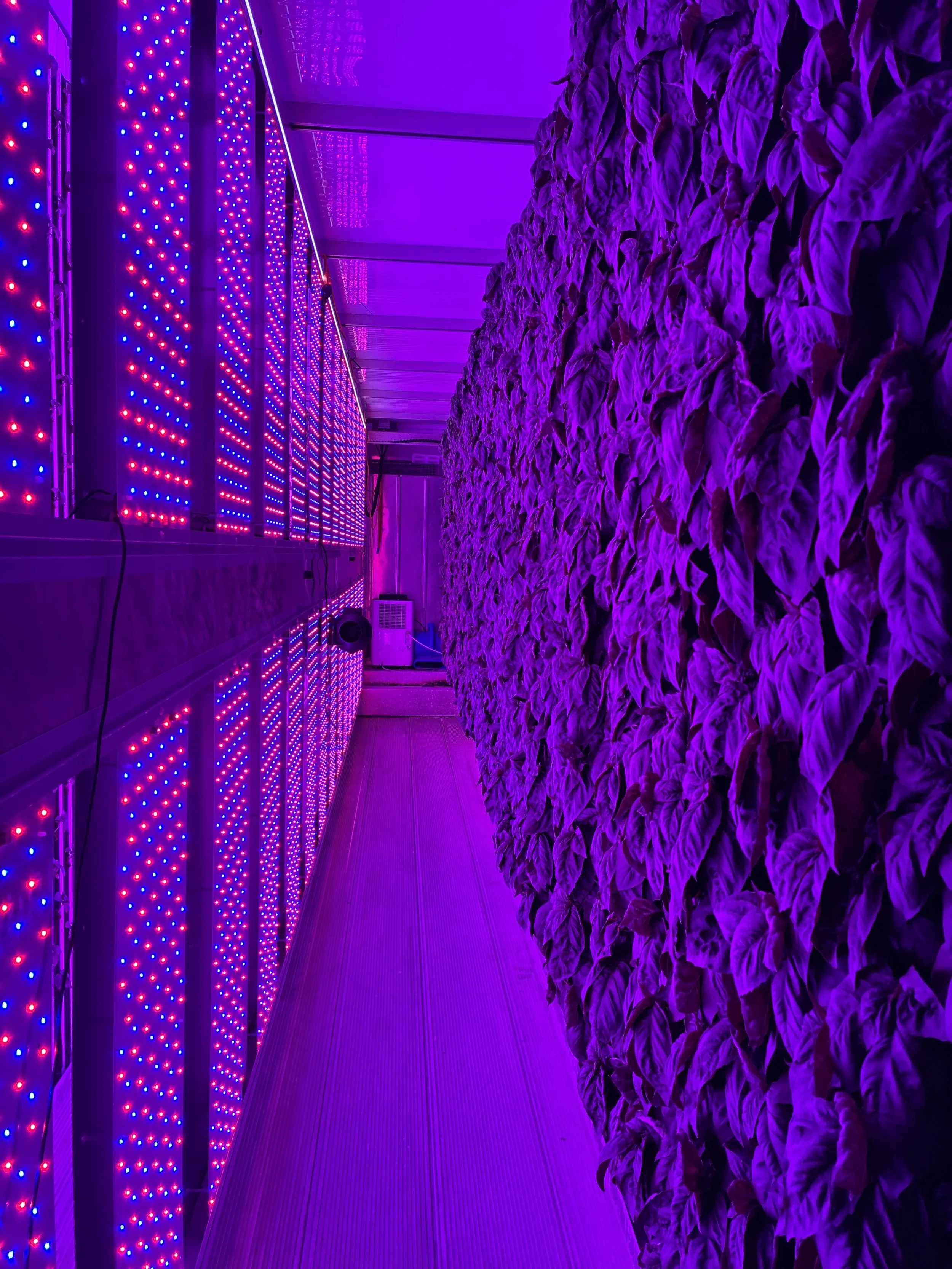 DJI_20260630_094038_901.JPEG