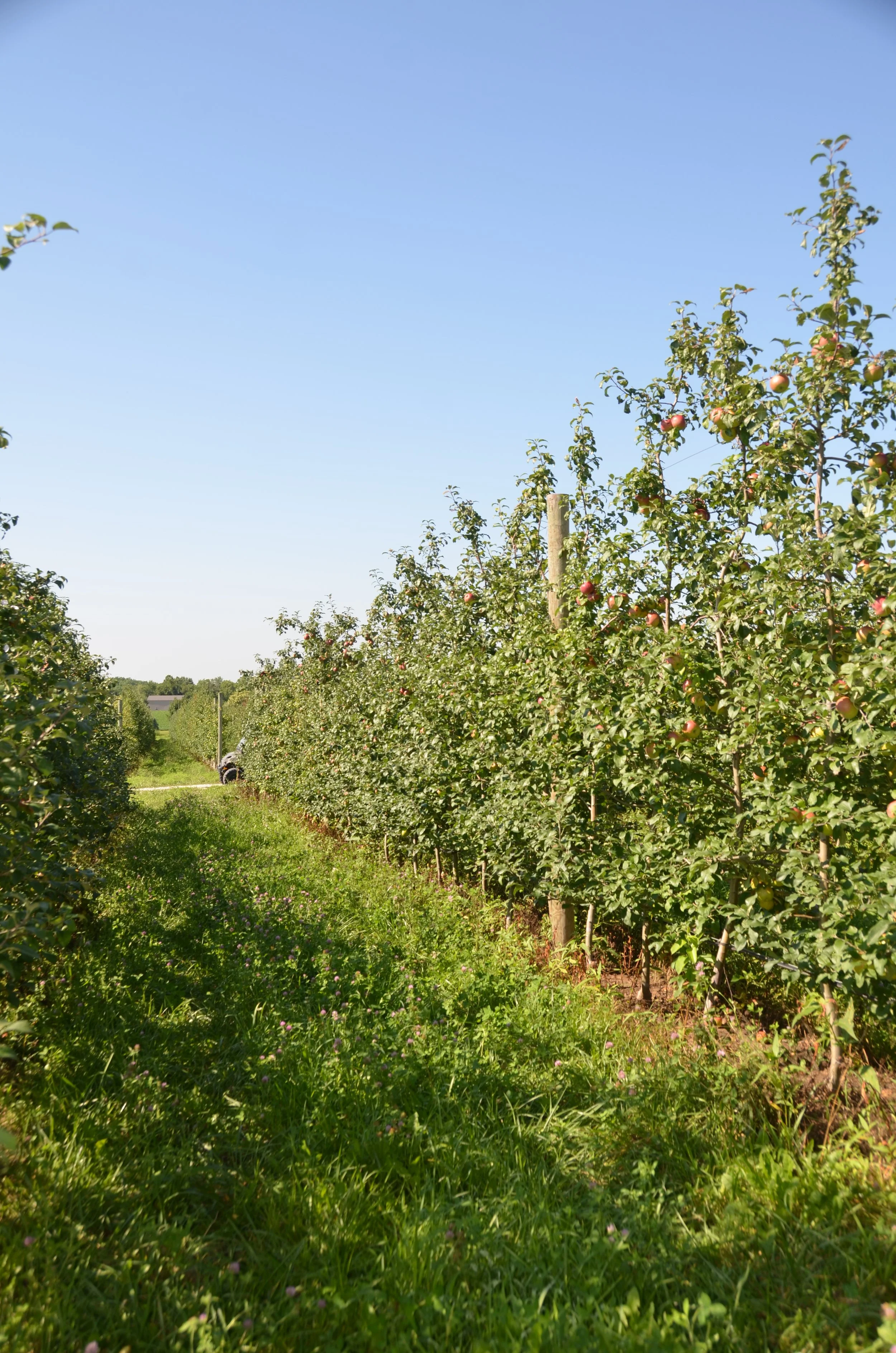ND7_6301.JPG