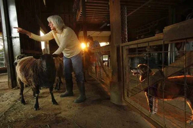 maggie's farm historical, provided by barbara.jpg
