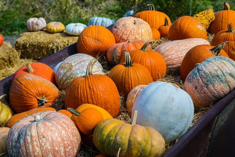   Kaw Valley Farm Tour    Oct 3–4  