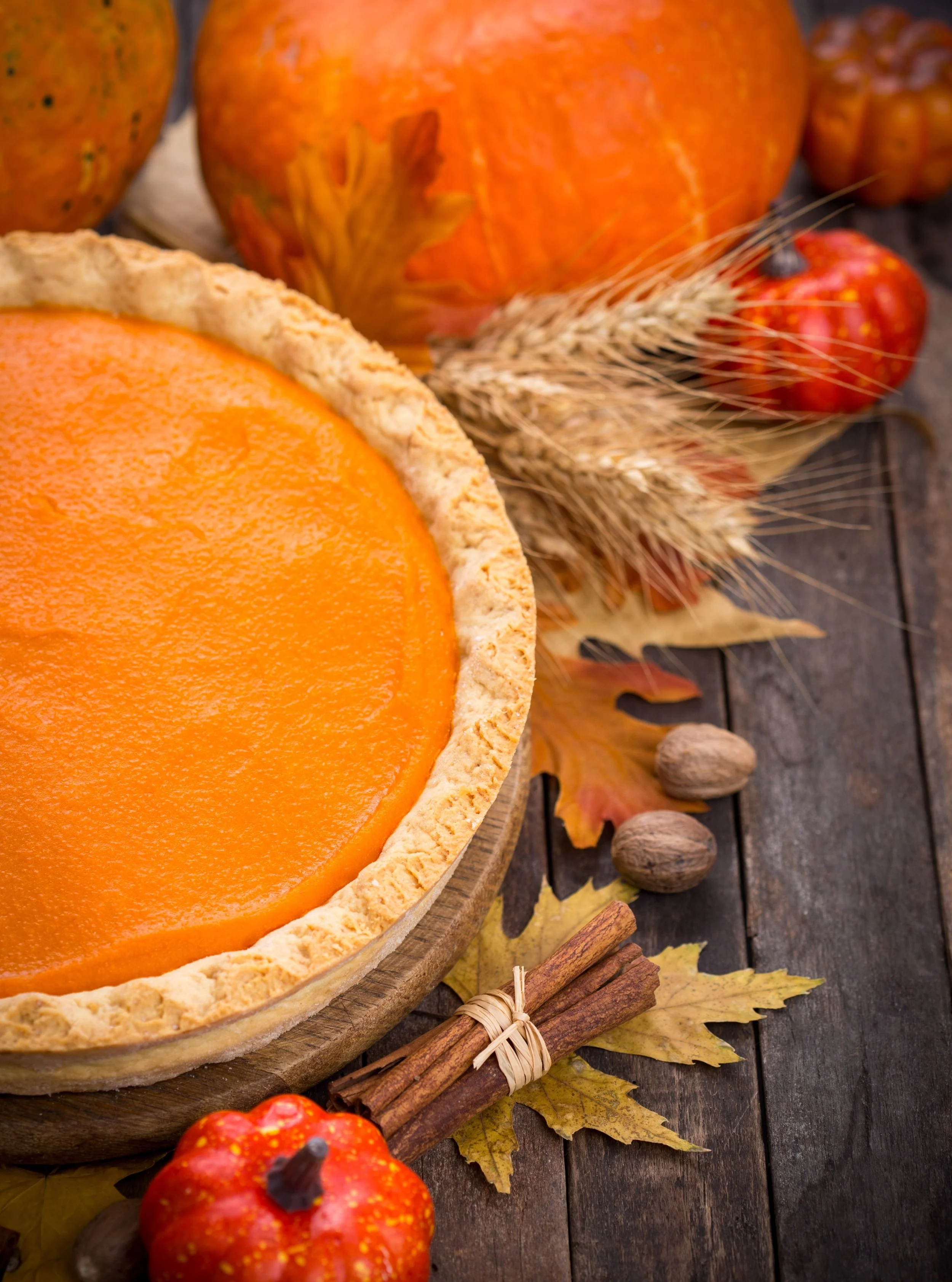 Join us this Sunday, October 25 from 11&ndash;1 for our Fall Samplefest! We&rsquo;ll have free samples of Thanksgiving Catering items from the deli and bakery like green beans amandine, #vegan mushroom walnut loaf, pumpkin pie and Douglas County pie,