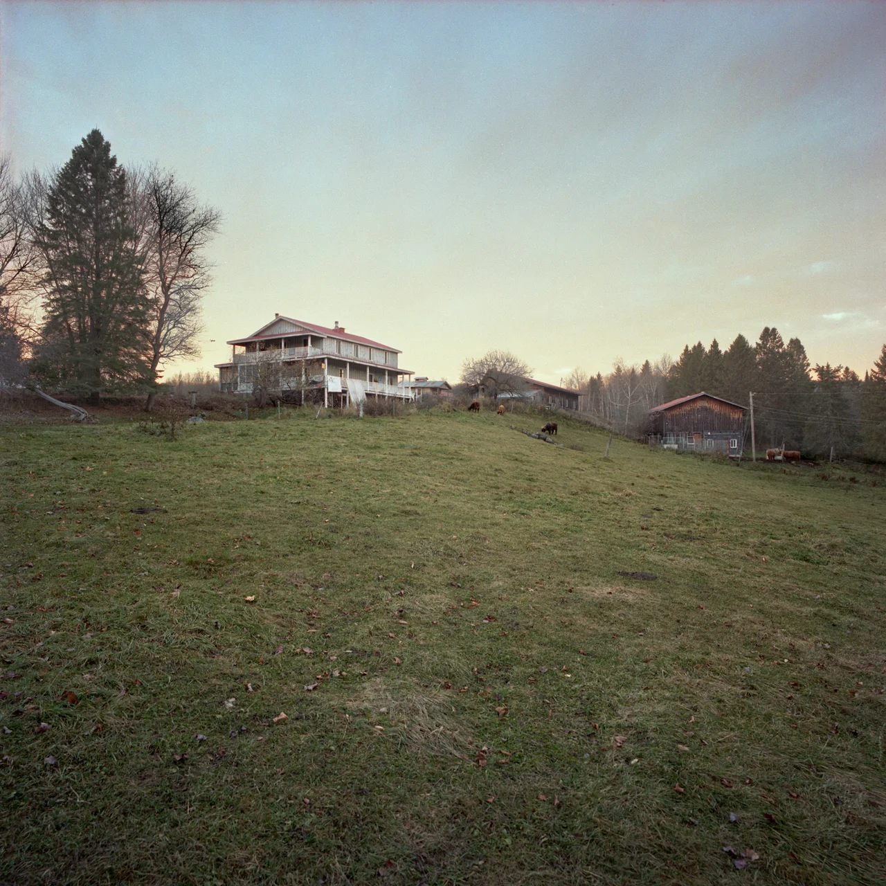Maison principale, 2016