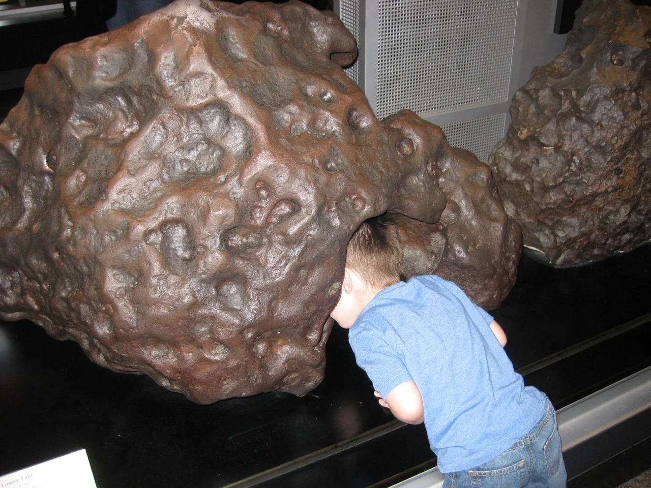 Dayton Callahan sticking his head into Goose Lake Meteorite at Smithsonian National Museum of Natural History.