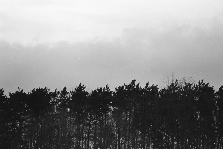 m9981_land.jpg