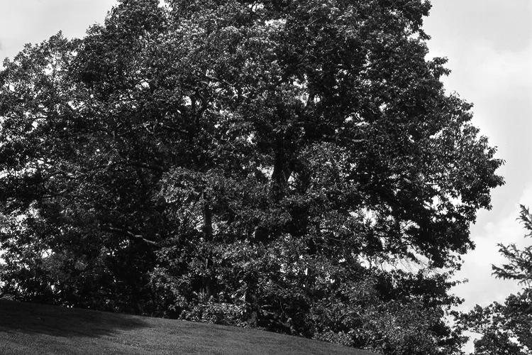 m5273_land.jpg