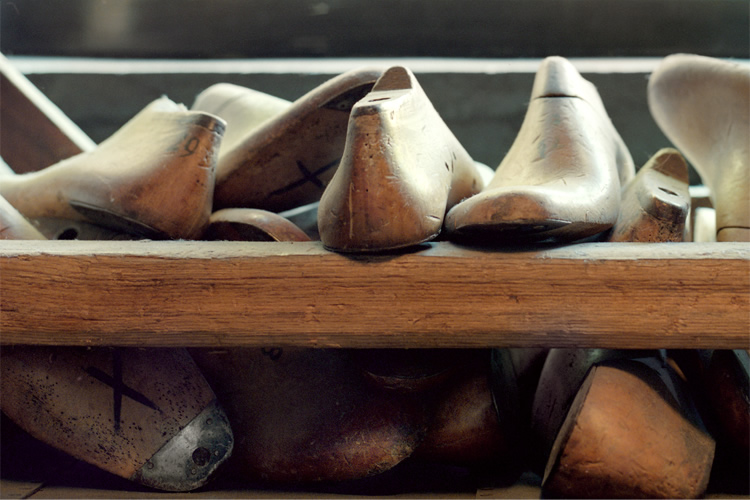 SHOE LASTS