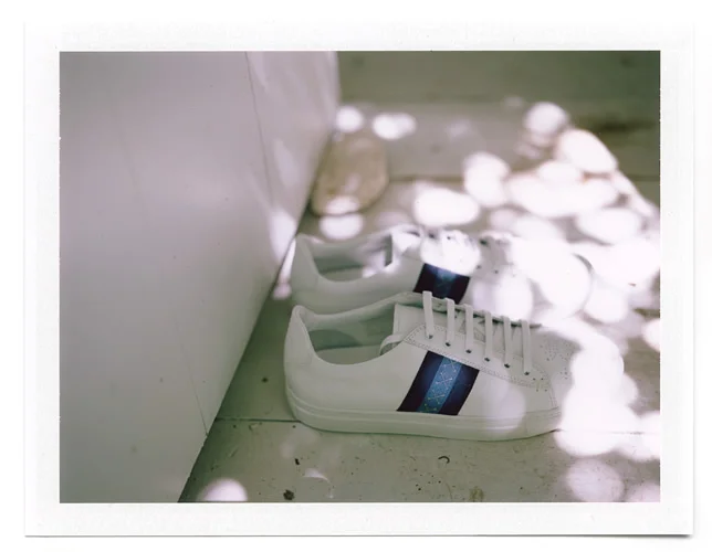 rs203_pola-f.jpg
