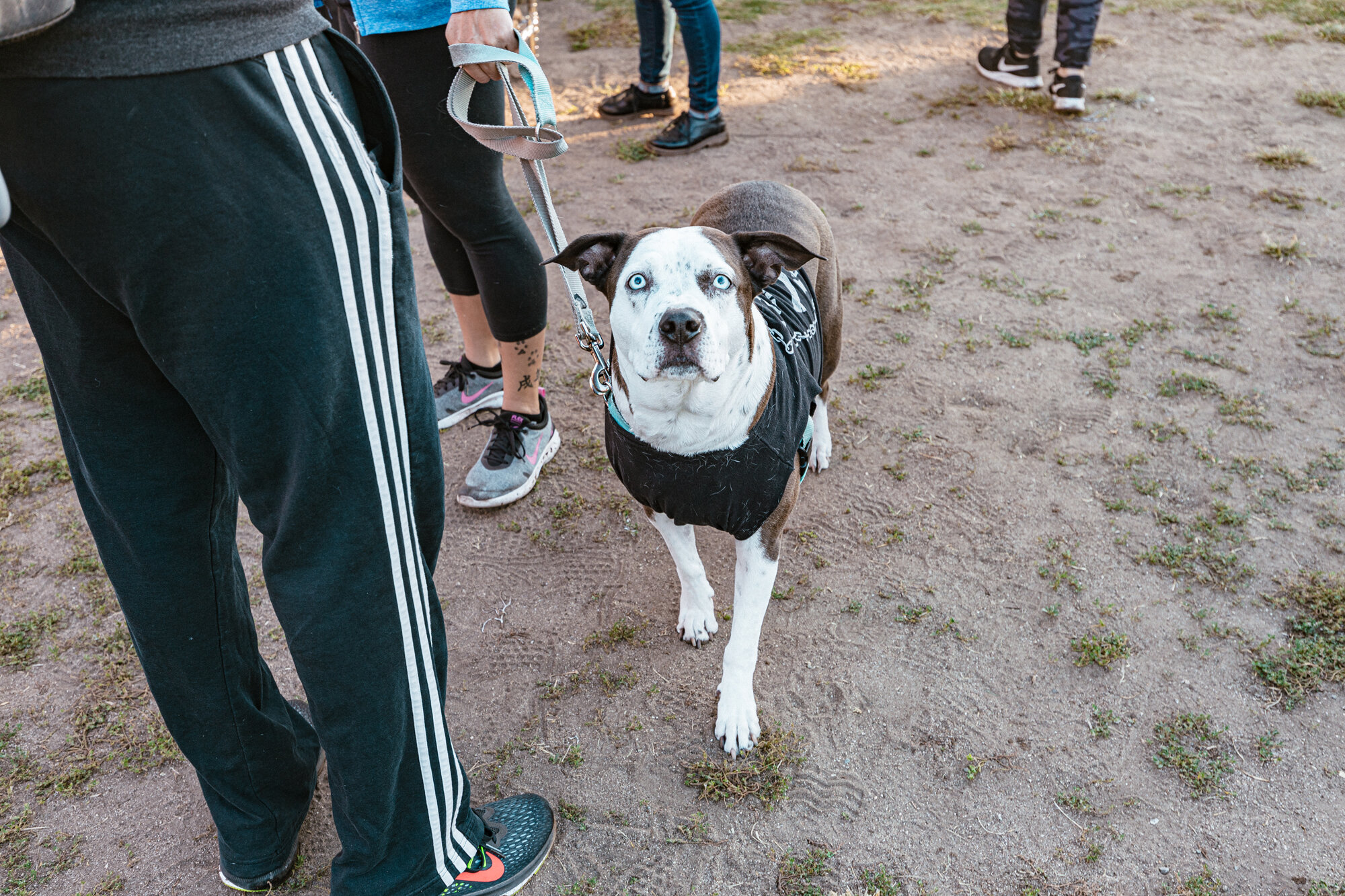 RaceForTheRescues_Wide_101219_300745.jpg