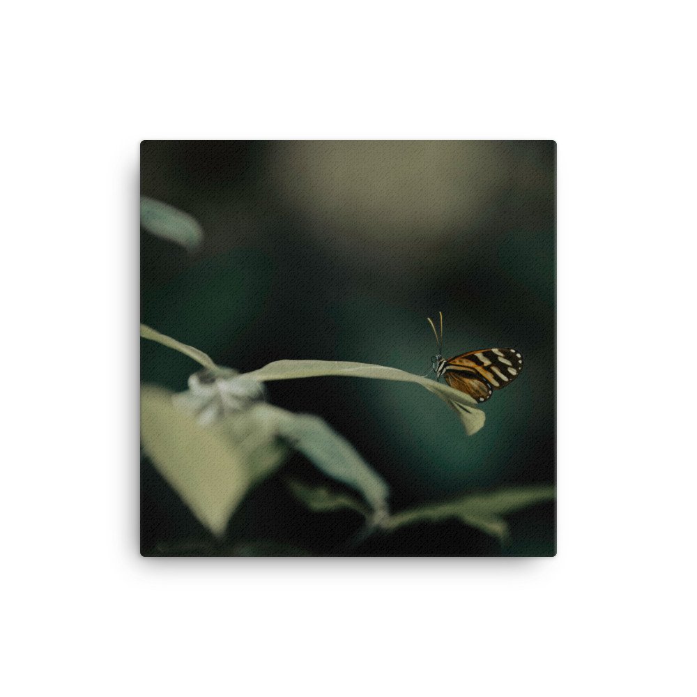 canvas-(in)-16x16-wall-65b6855a014df.jpg