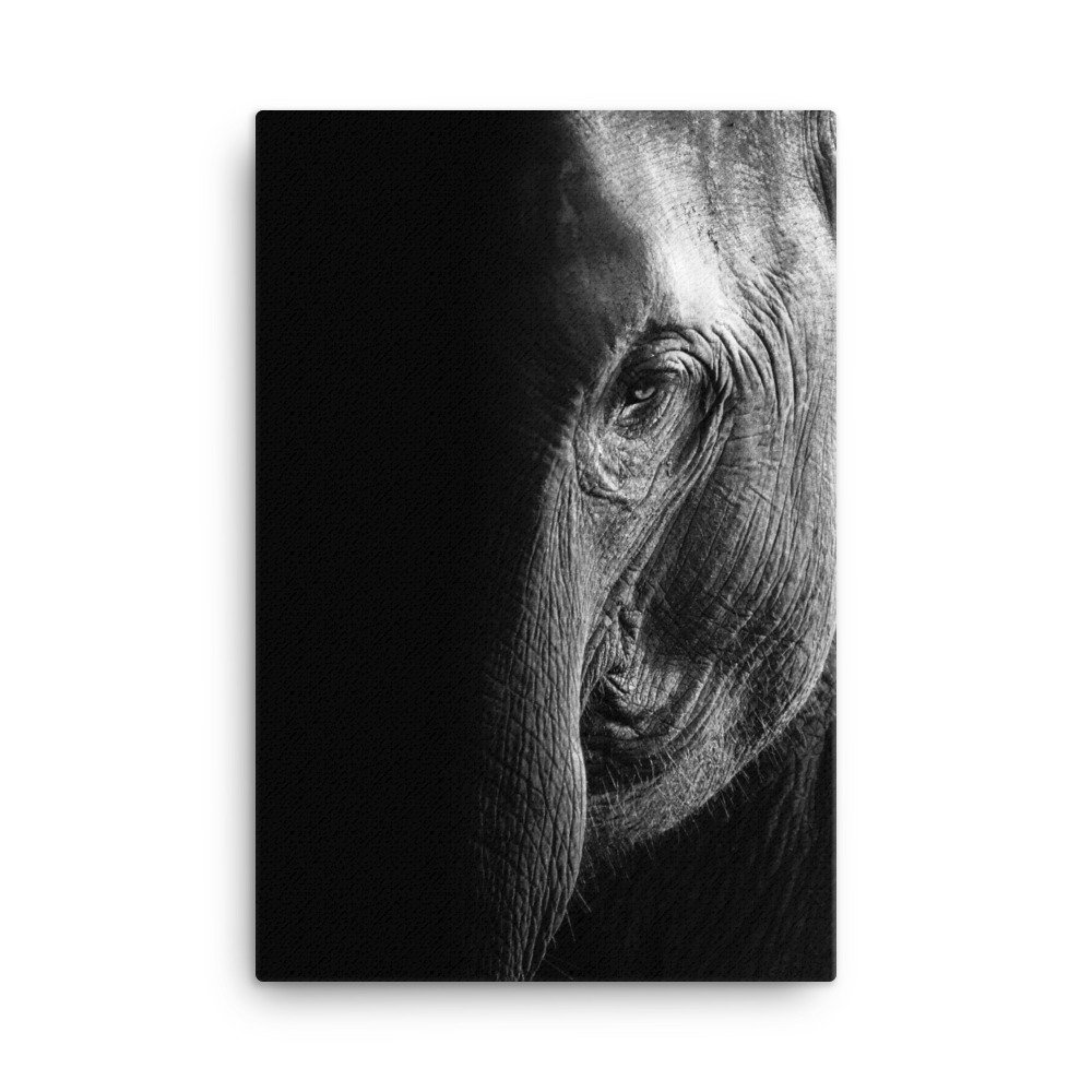 canvas-(in)-24x36-wall-65bc0c58ef07e.jpg