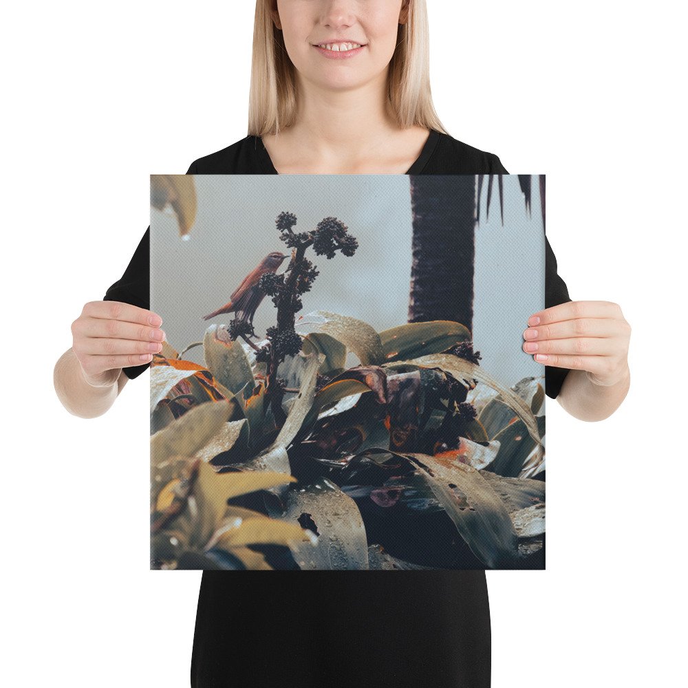 2-6 canvas-(in)-16x16-person-65be61176f696.jpg