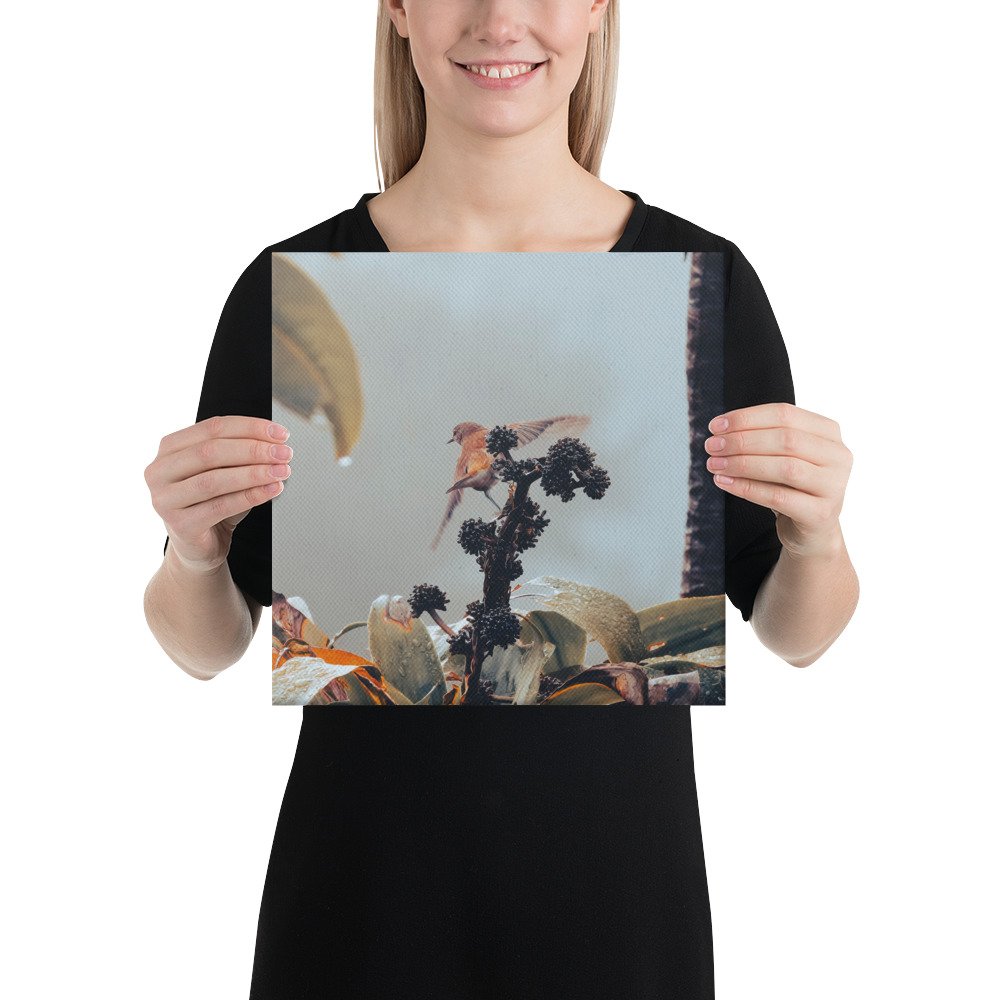 1-6 canvas-(in)-12x12-person-65be644d4cf4a.jpg