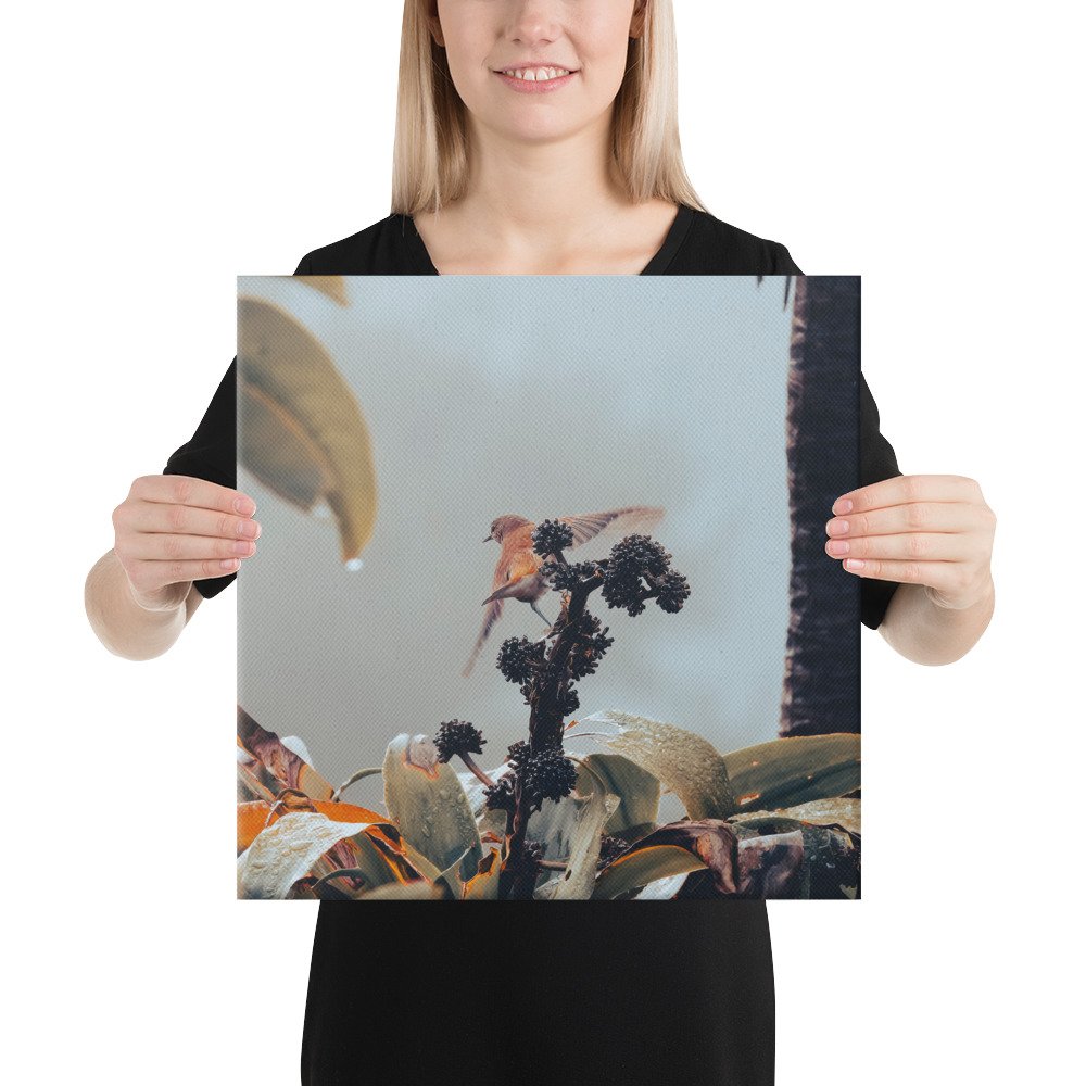 2-6 canvas-(in)-16x16-person-65be644d4d095.jpg