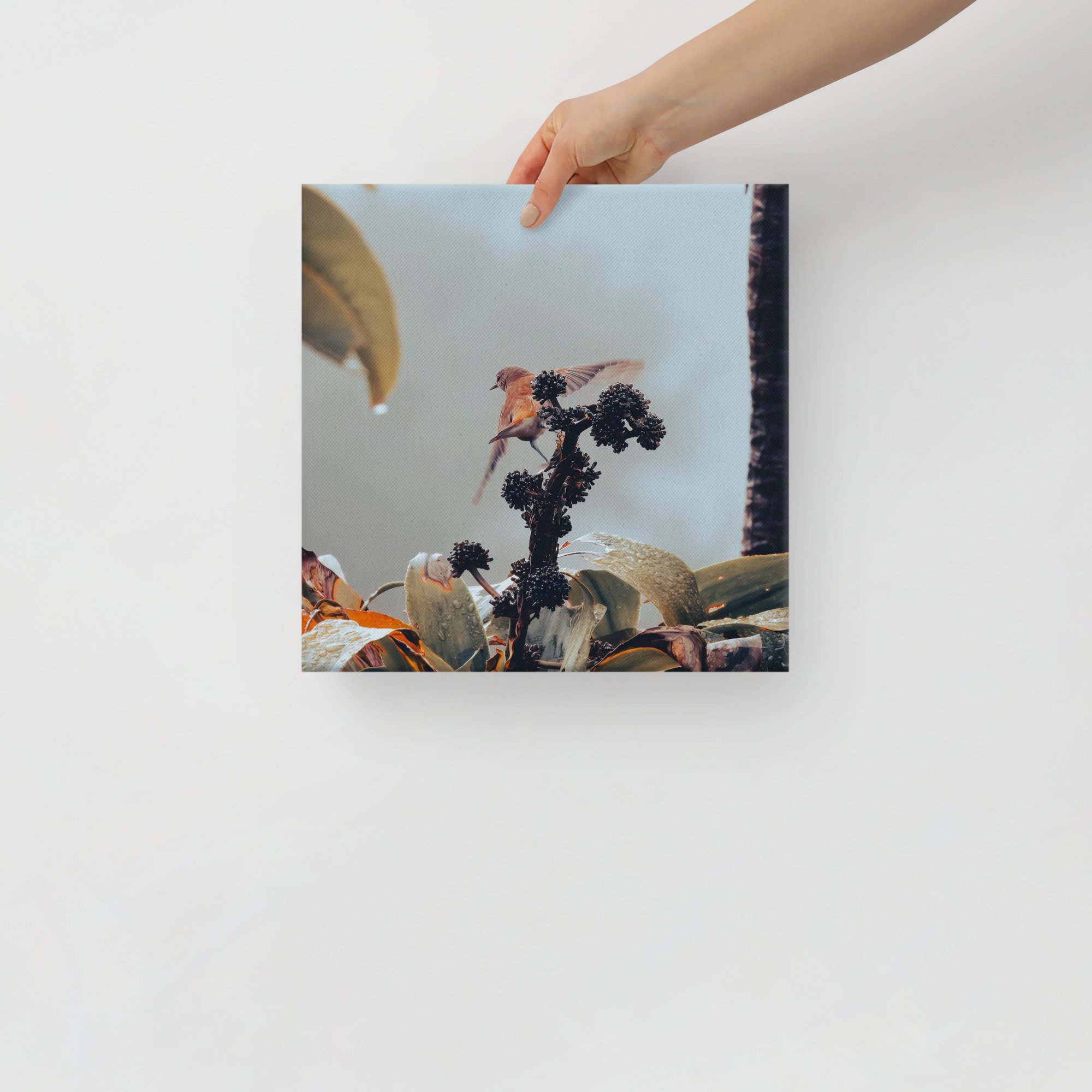 1-7 canvas-(in)-12x12-front-65be644d4d070.jpg