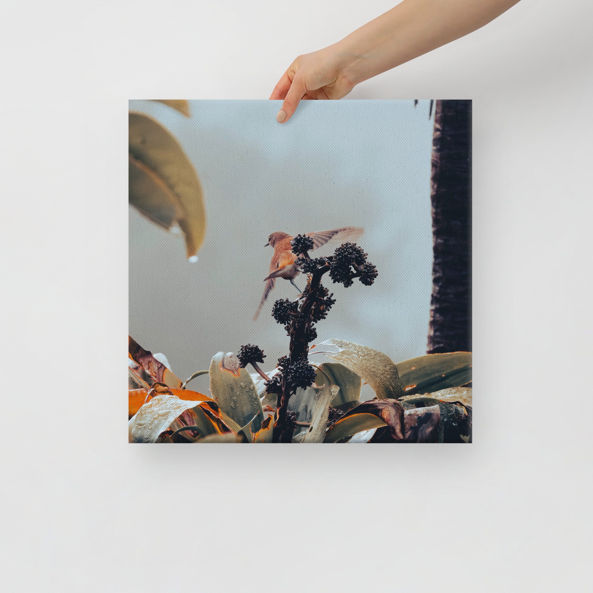 2-7 canvas-(in)-16x16-front-65be644d4d228.jpg