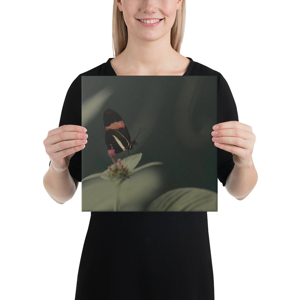 1-6 canvas-(in)-12x12-person-65be67a5d33cb.jpg
