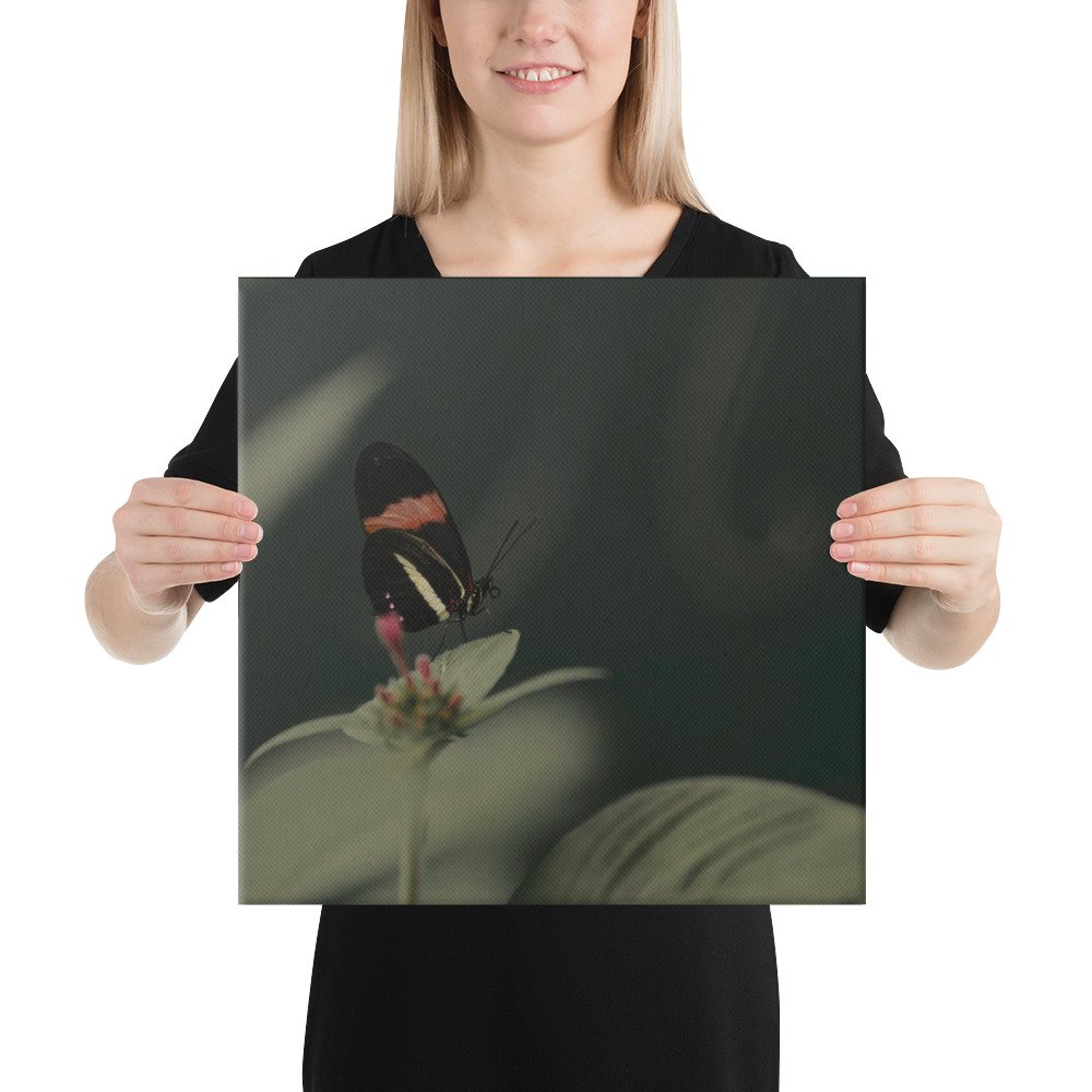 2-6 canvas-(in)-16x16-person-65be67a5d356d.jpg