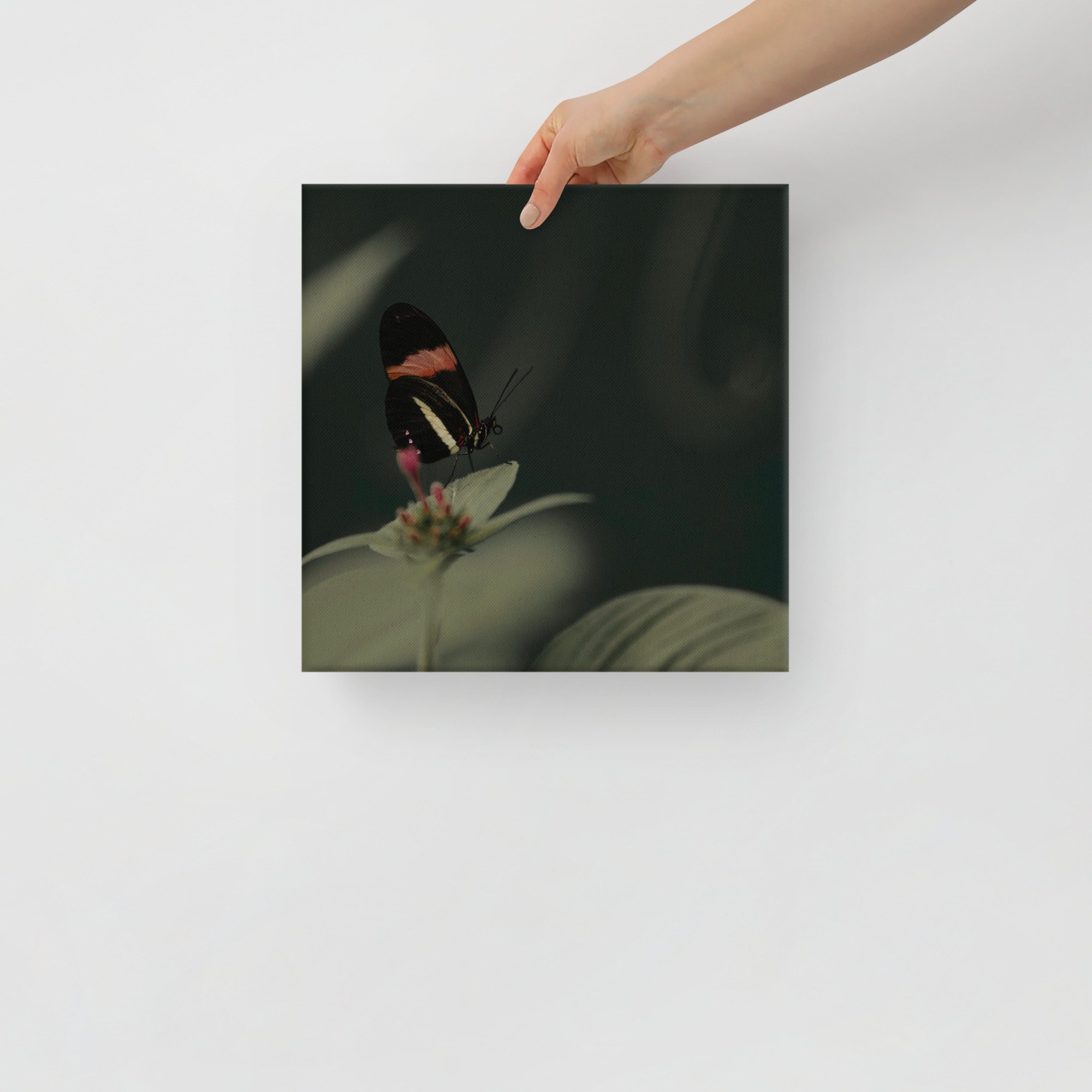 1-7 canvas-(in)-12x12-front-65be67a5d3345.jpg