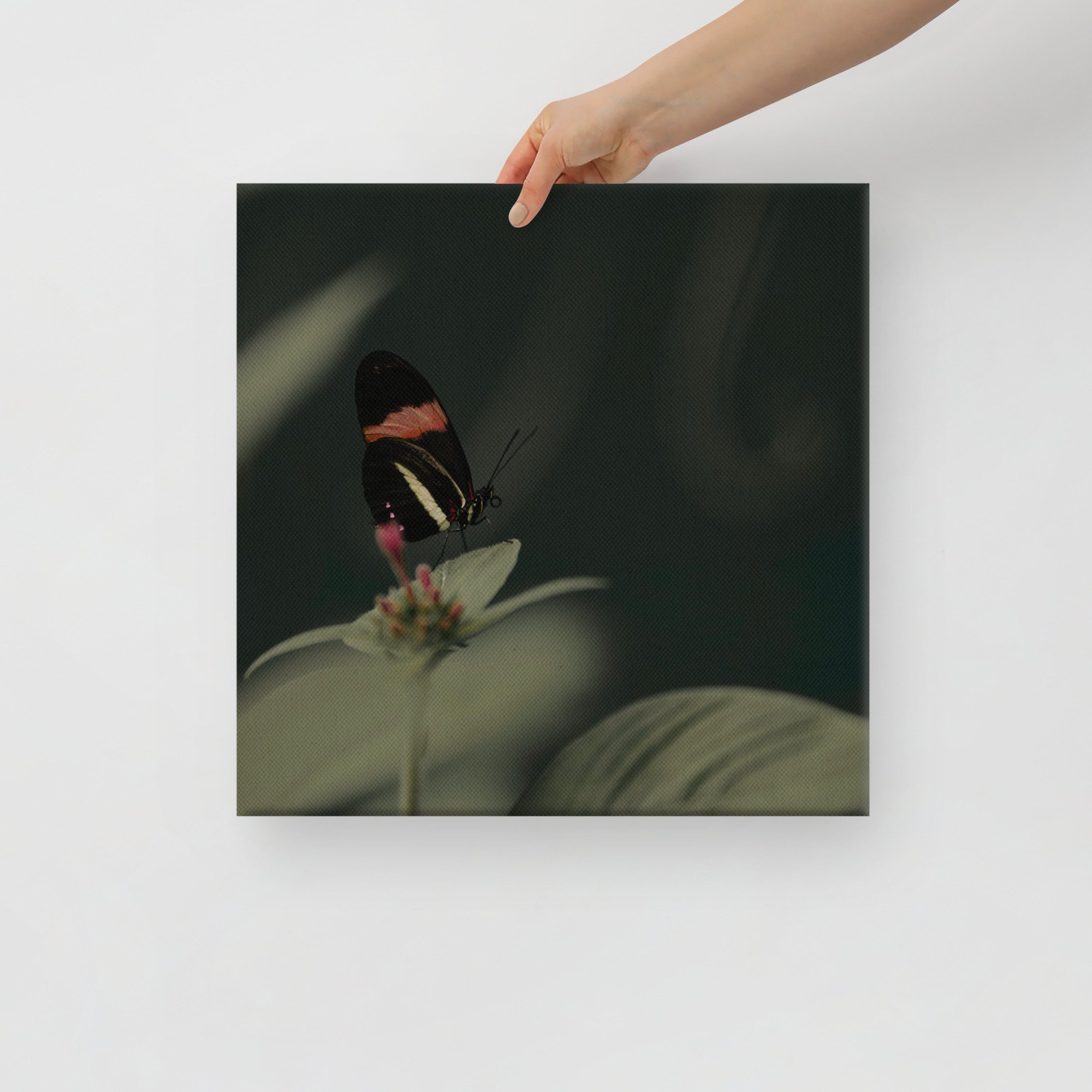 2-7 canvas-(in)-16x16-front-65be67a5d370a.jpg