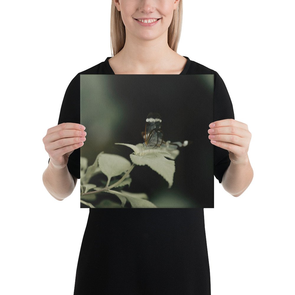 1-6 canvas-(in)-12x12-person-65be69bb4647d.jpg