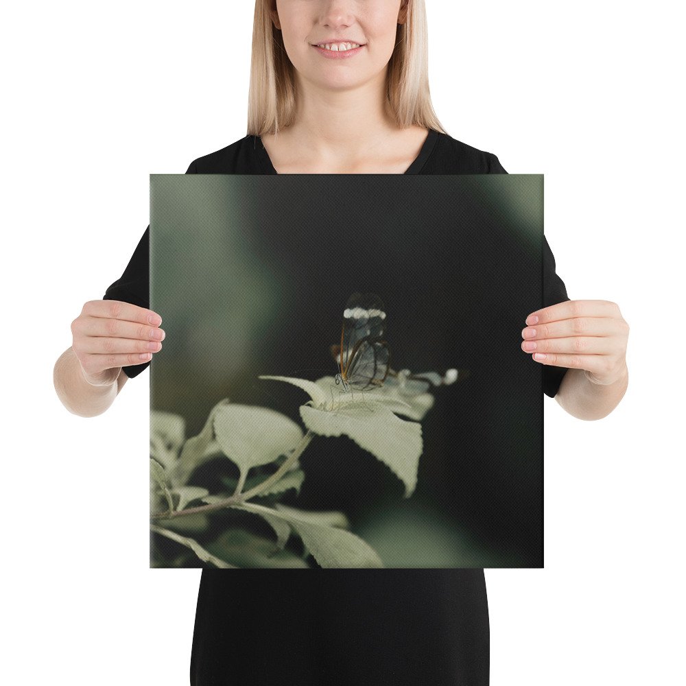 2-6 canvas-(in)-16x16-person-65be69bb4657b.jpg
