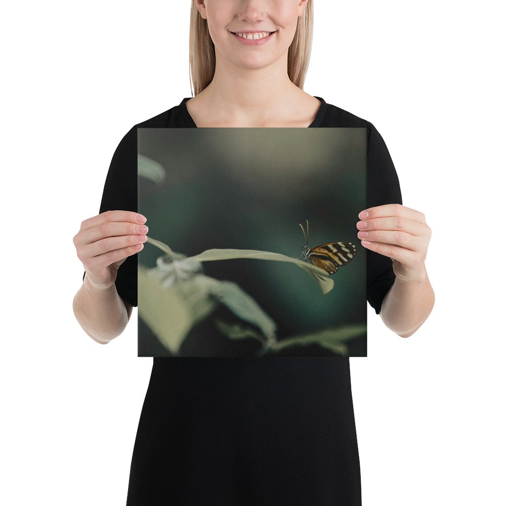 1-6 canvas-(in)-12x12-person-65be6d058df60.jpg