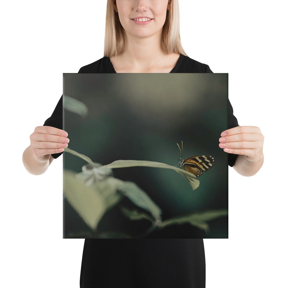 2-6 canvas-(in)-16x16-person-65be6d058e13c.jpg