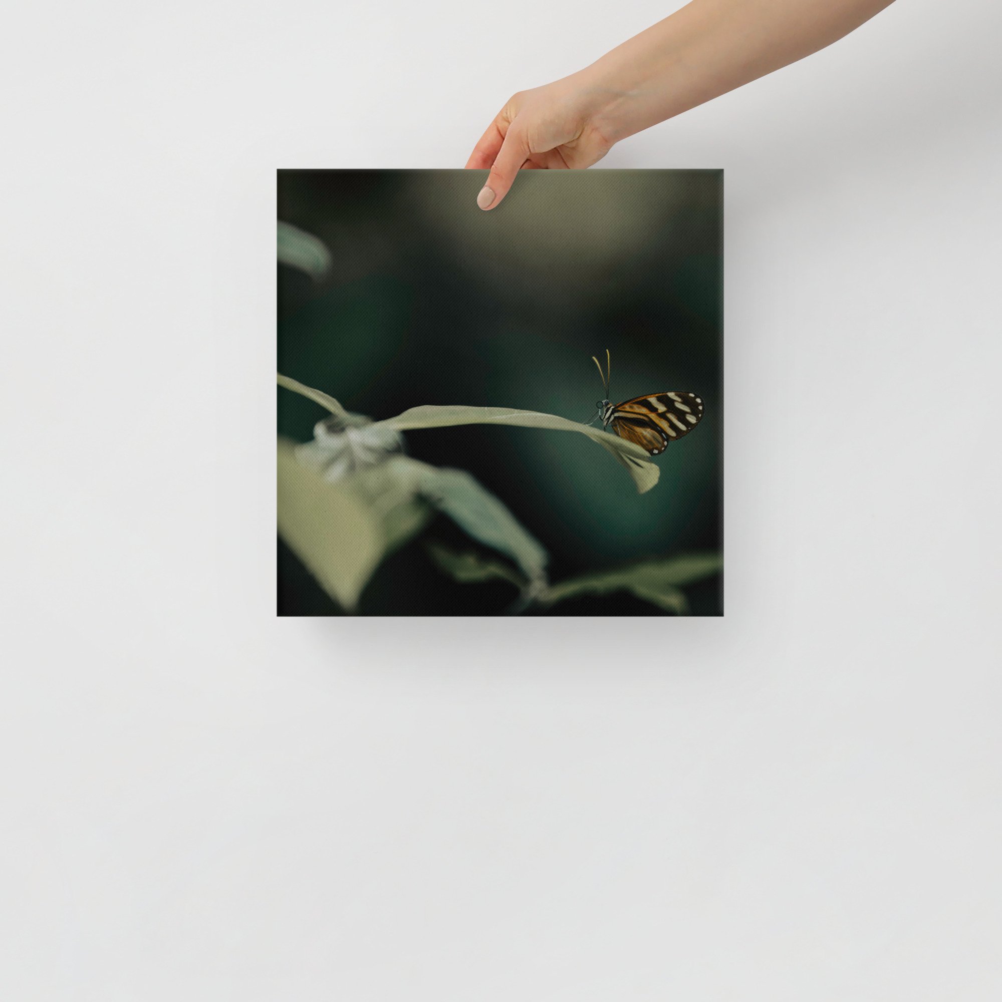 1-7 canvas-(in)-12x12-front-65be6d058dbda.jpg