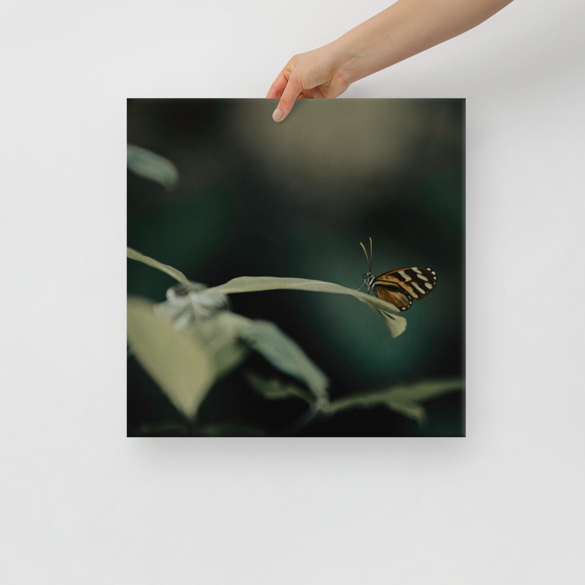 2-7 canvas-(in)-16x16-front-65be6d058e2d8.jpg