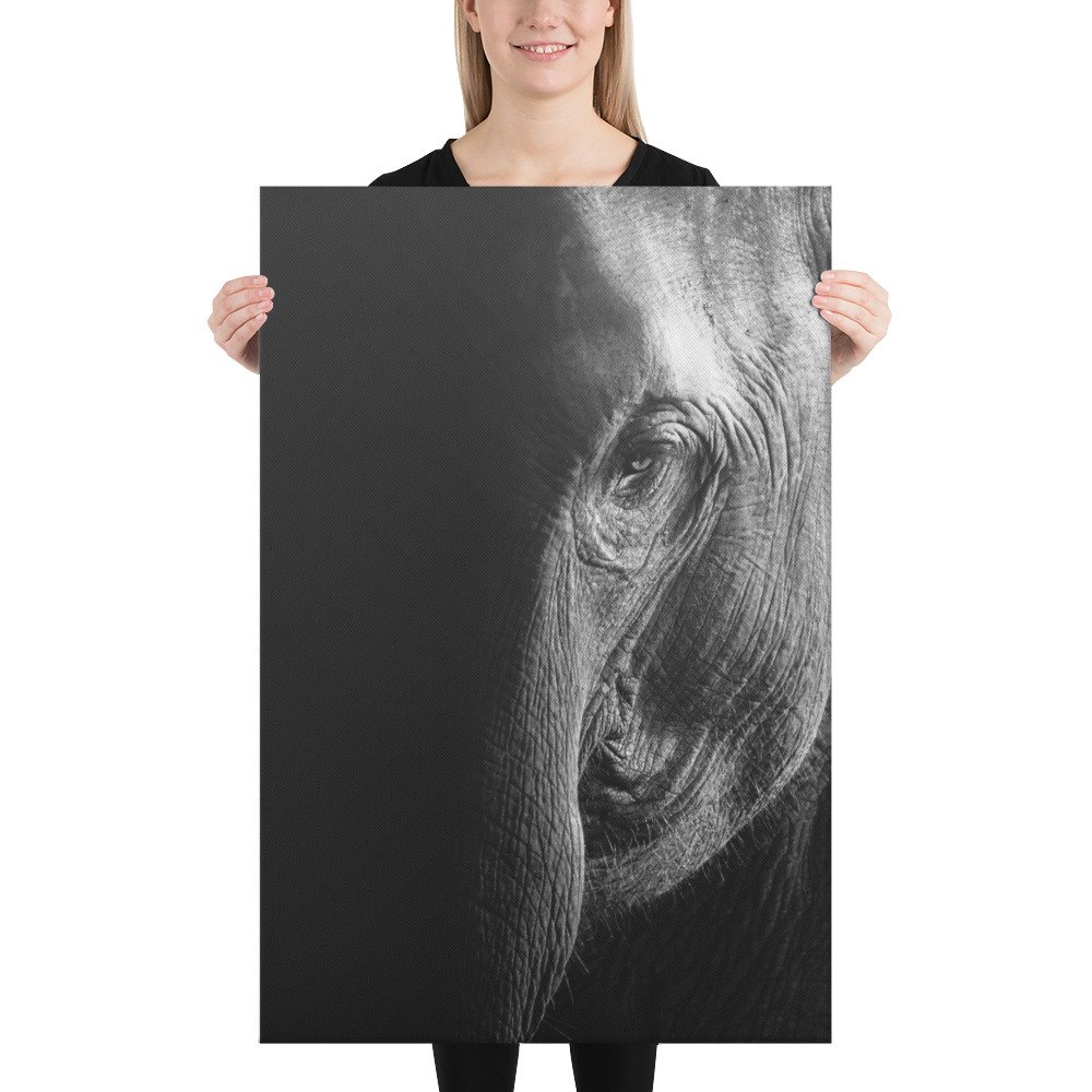 canvas-(in)-24x36-person-65be6fc038998.jpg