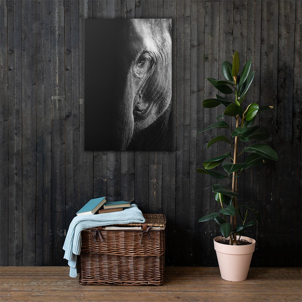 canvas-(in)-24x36-lifestyle-1-65be6fc038a0e.jpg