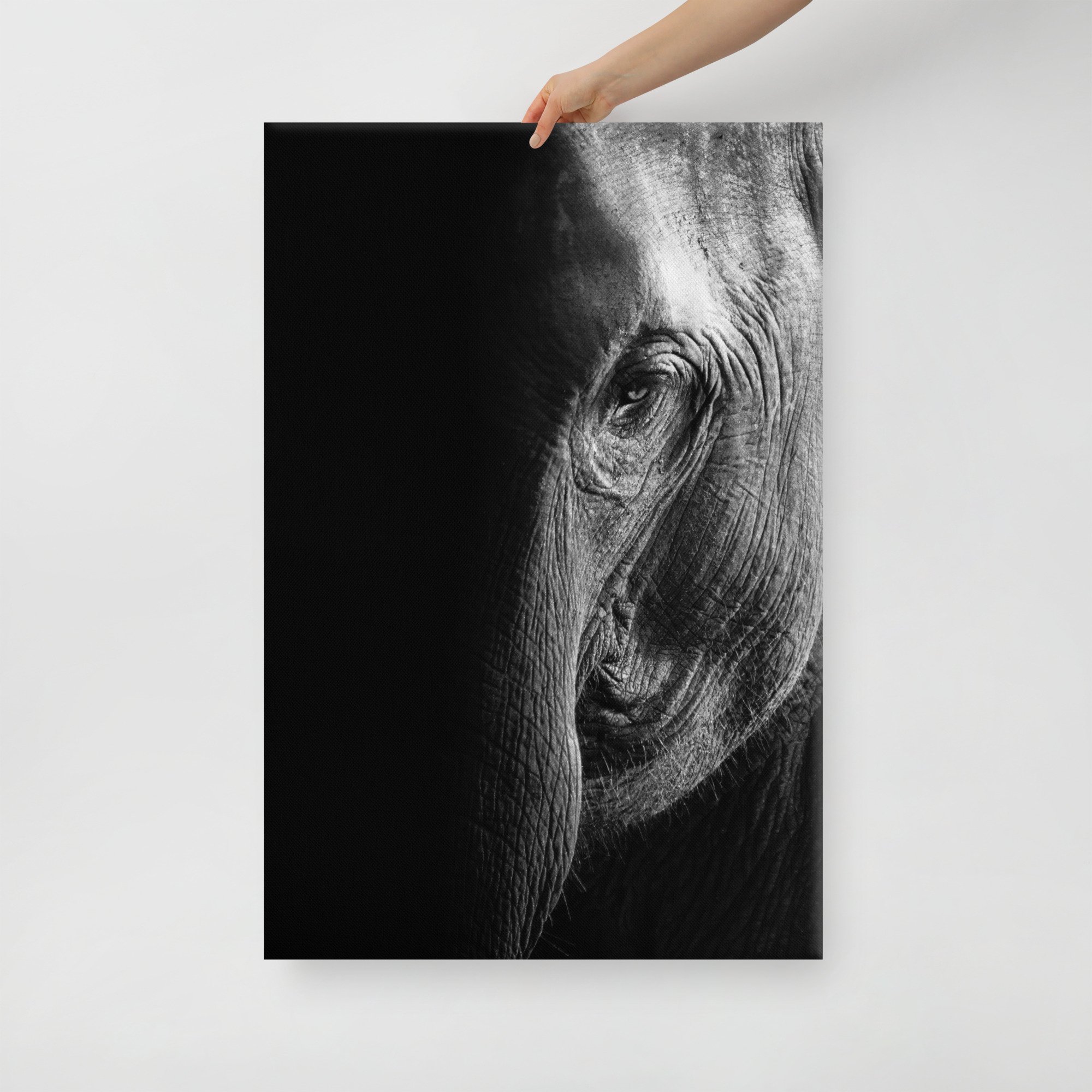 canvas-(in)-24x36-front-65be6fc038b5a.jpg